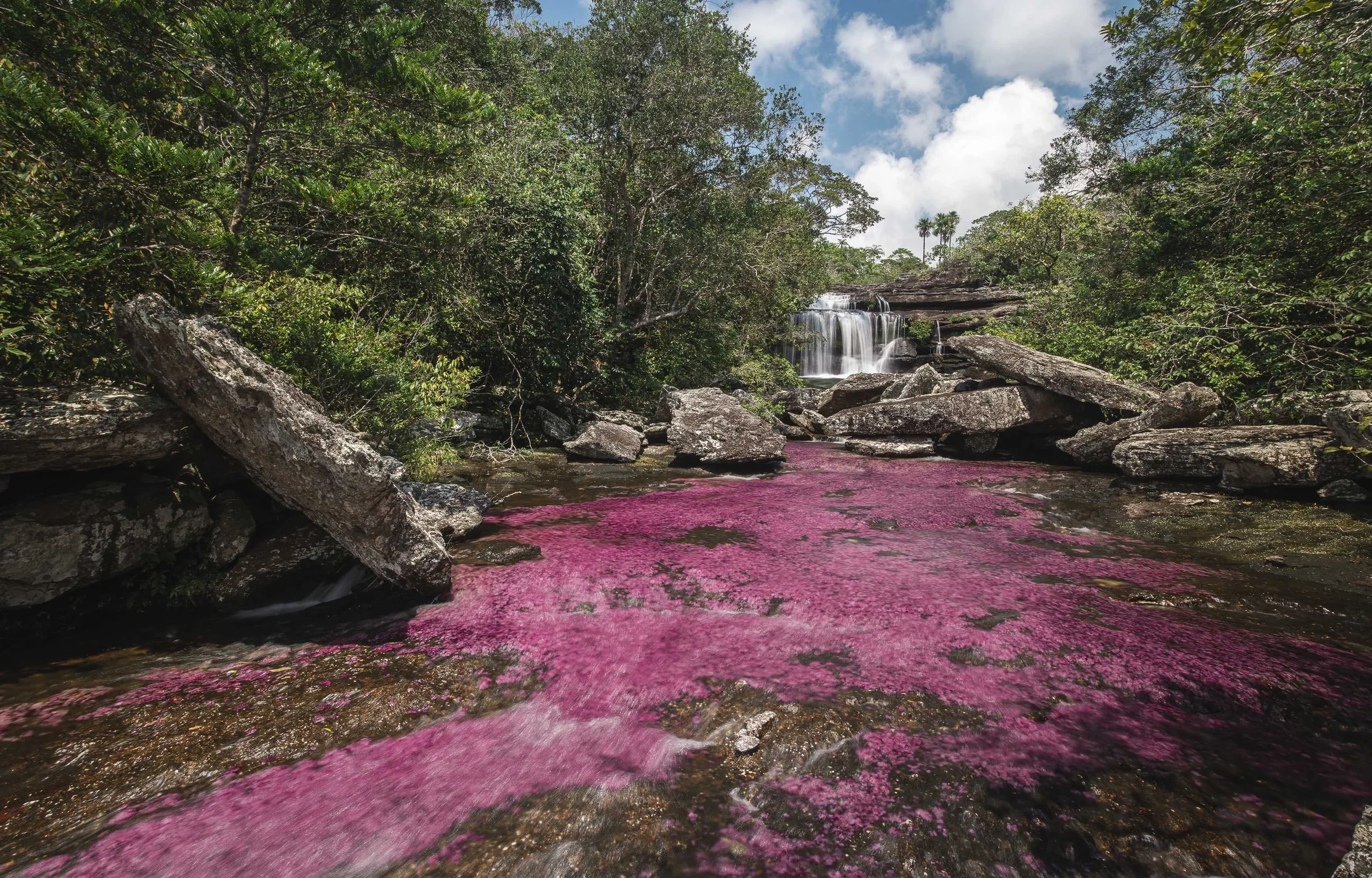 wellness hotel | self care | Caño Cristales | Colombia hotel | mindfulness | colour theory | colour psychology | Eco travel | eco hotel | landscape hotel | nature hotel | nature destination | room and wild | luxury hotel | La Manigua Lodge