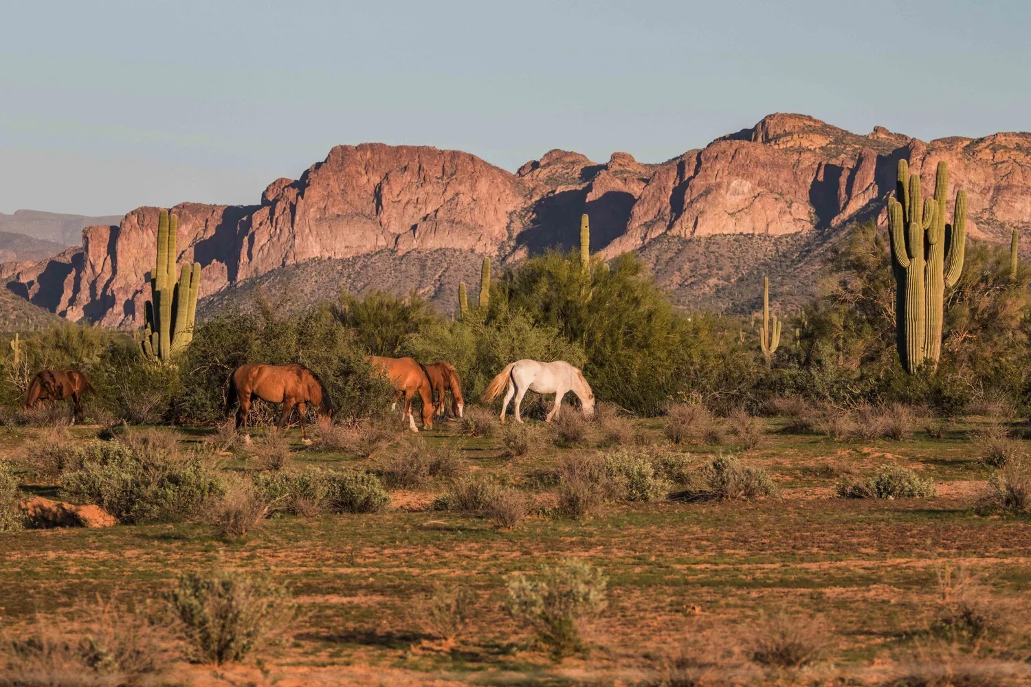 adventure hotel | wellness hotel | Sedona | Arizona hotel | mindfulness | colour theory | colour psychology | Eco travel | eco hotel | landscape hotel | nature hotel | nature destination | room and wild | luxury hotel | Ambiente Landscape Hotel