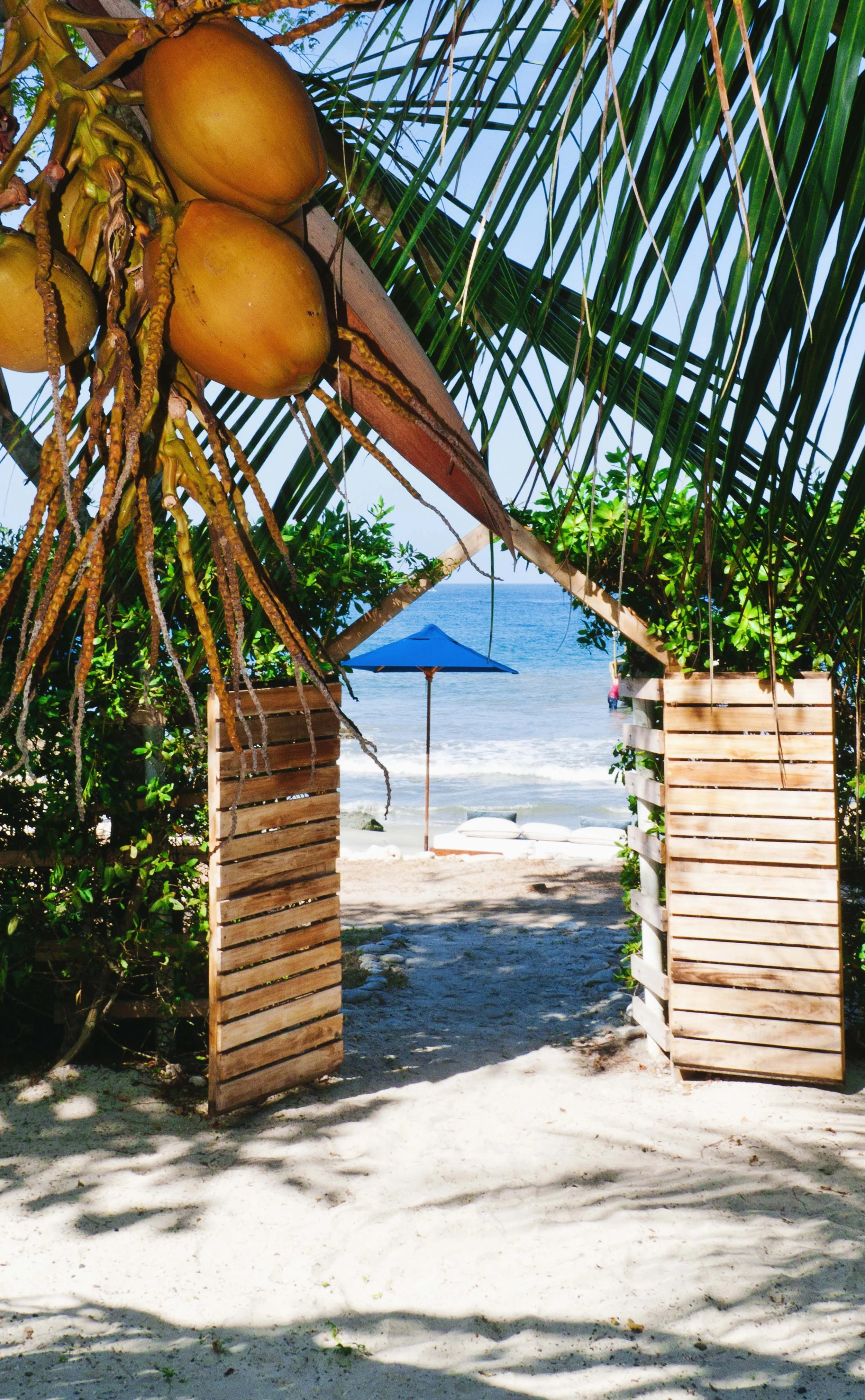 Colombia Hotels | adventure travel | Eco travel | eco hotel |  landscape hotel | nature hotel | nature destination | room and wild | Isla Tierra Bomba | Private Island Hotel | Blue Apple Beach