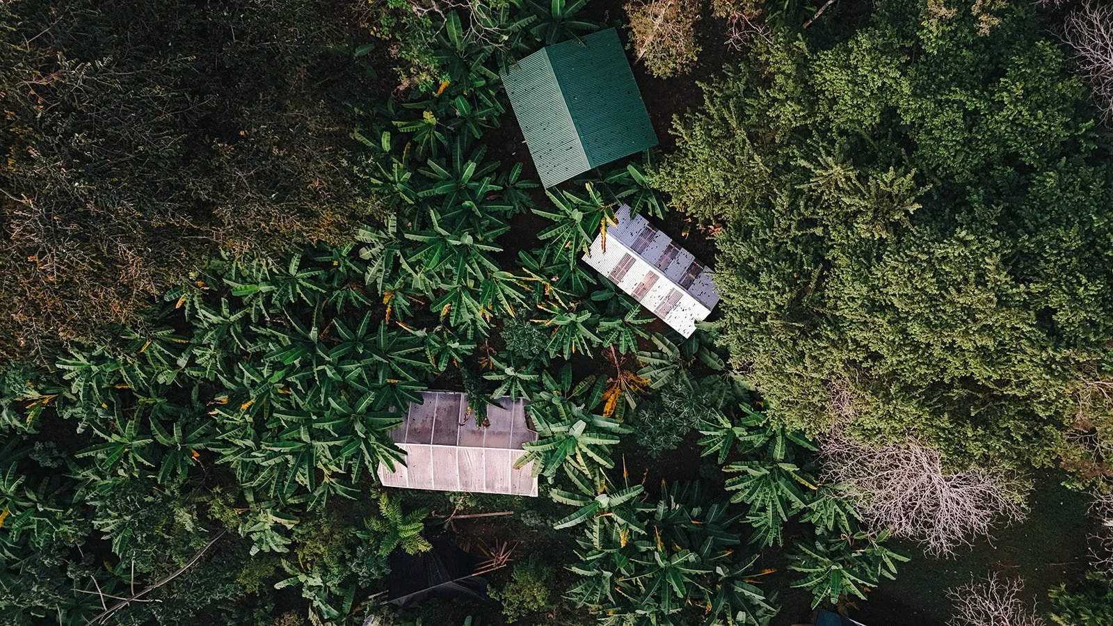 Costa Rica Hotels | Quiet Luxury  | wellness travel | mindfulness | Eco travel | eco hotel | Slow travel | landscape hotel | nature hotel | nature destination | room and wild | Osa Peninsula | Balsa Nueva Lodge