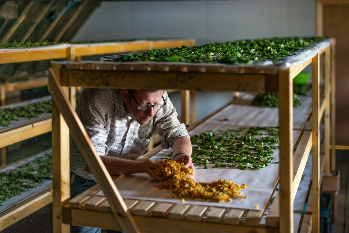 Sustainable Brand | Nature Destination | Experiential travel | Travel Guide | Gin Tasting | Foraging | Sustainable Business |  Islay Scotland | Travel Scotland | Botanist Gin | Bruichladdich Distillery | Room and Wild | Kate Hannett