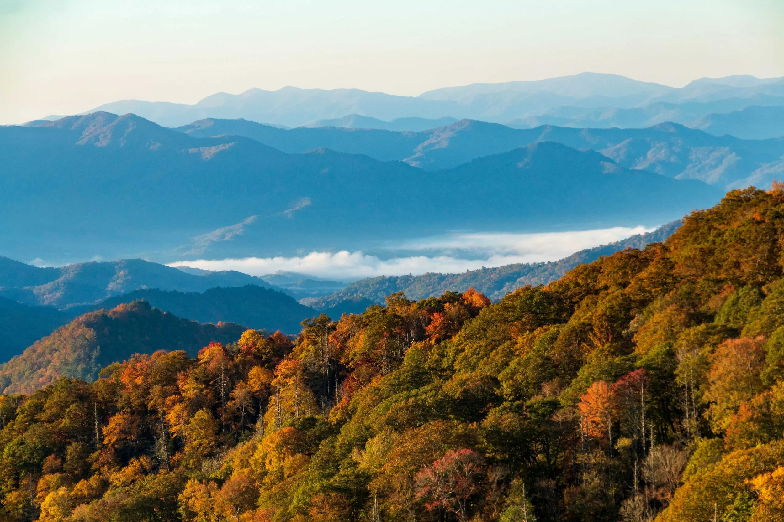 Fall Foliage | North Carolina hotel | Eco travel | eco hotel | Slow travel | landscape hotel | nature hotel | nature destination | room and wild | Asheville Hotels | Blind Tiger Asheville