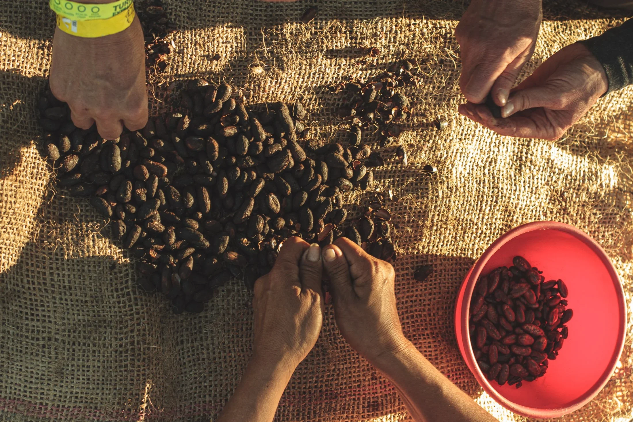 Colombia Eco Hotel | Eco travel | eco hotel | adventure hotel | landscape hotel | nature hotel | nature destination | room and wild | cacao | experiential travel | La Manigua Lodge