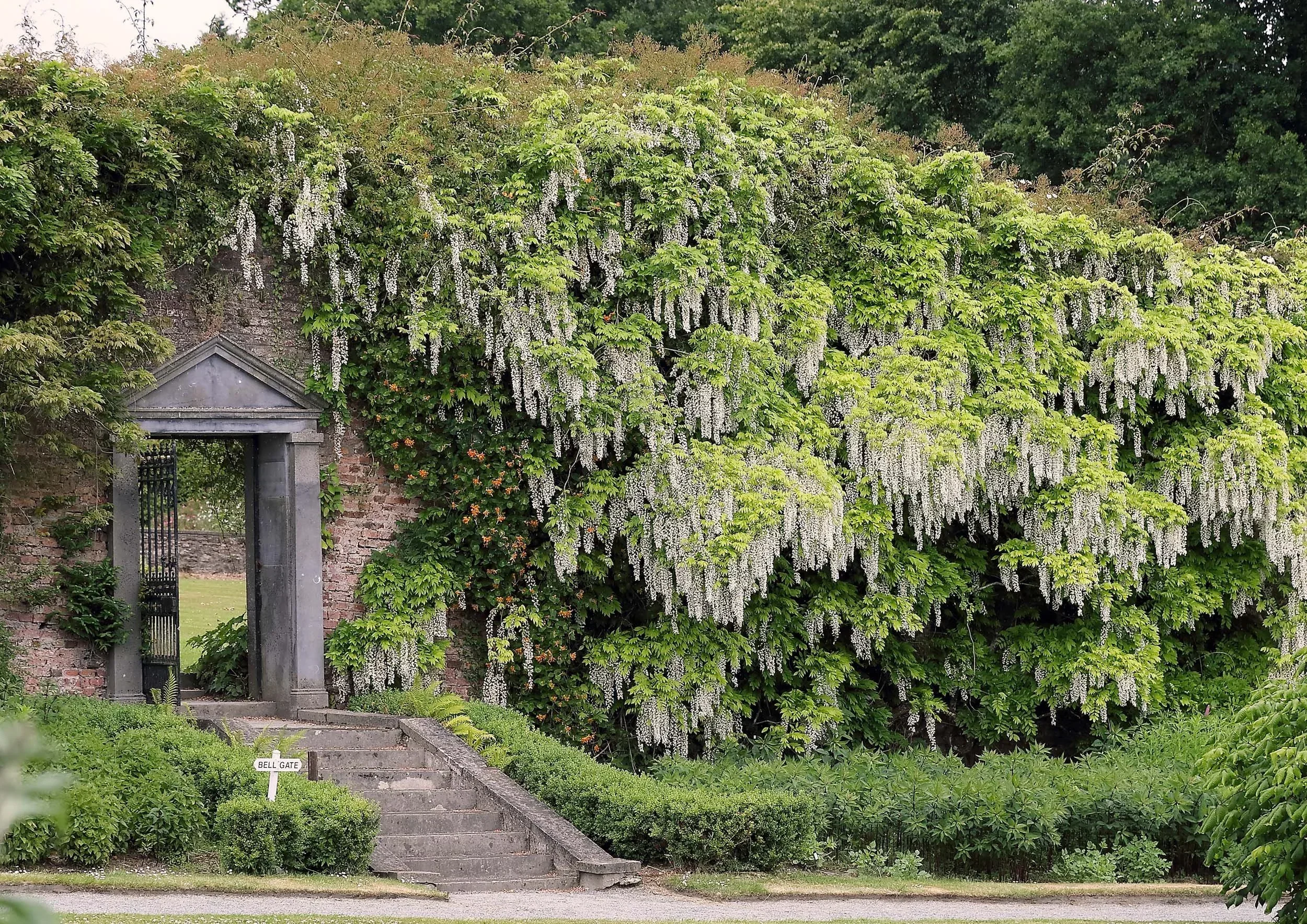 Sustainable Hotels | County Waterford hotel| Eco travel | eco hotel | Slow travel | landscape hotel | nature hotel | nature destination | room and wild | Ireland boutique Hotel | Mount Congreve Gardens