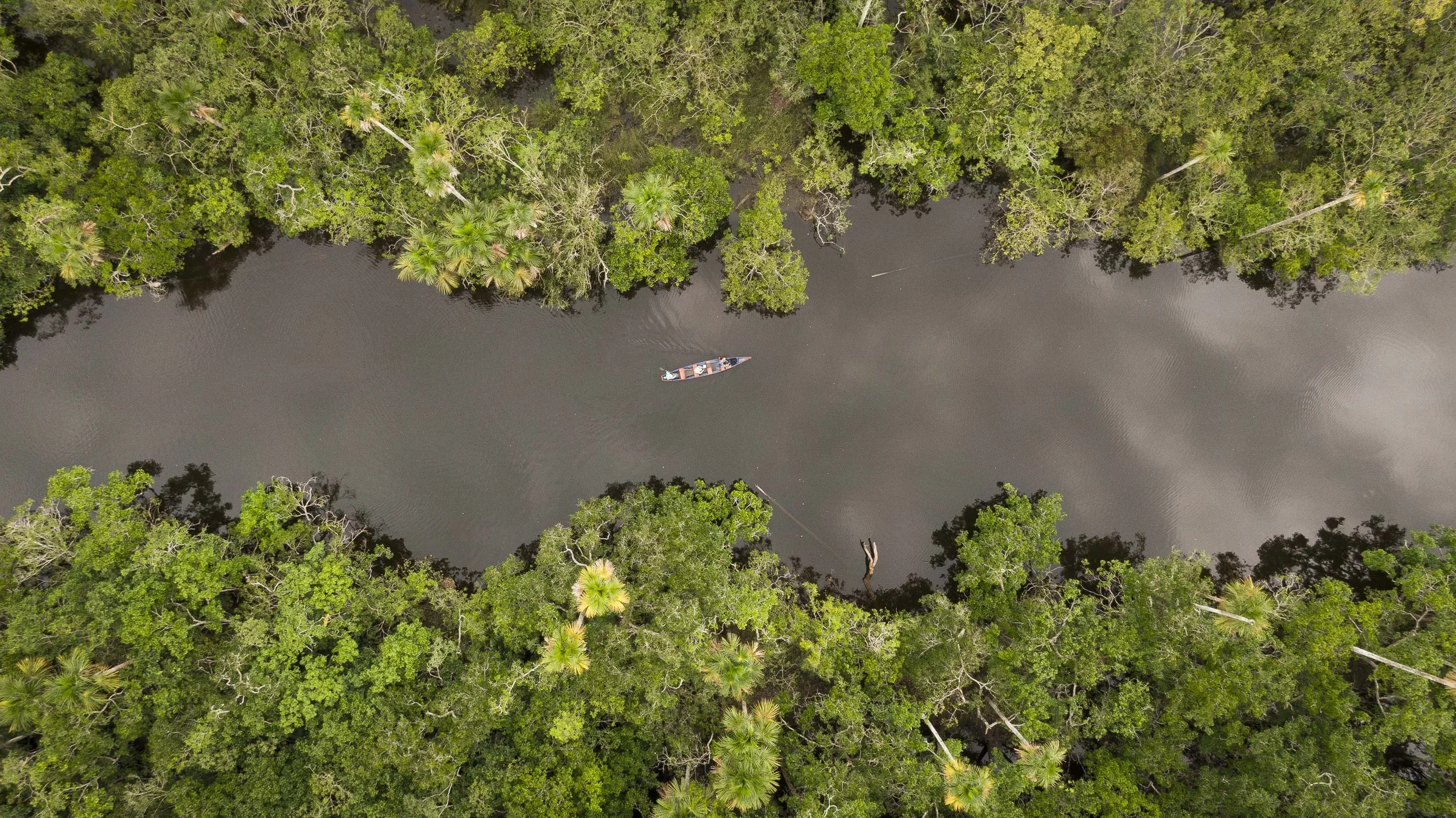Sustainable Hotels | Caño Cristales | Eco travel | eco hotel | Slow travel | landscape hotel | nature hotel | nature destination | room and wild | Colombia boutique Hotel | La Manigua Lodge