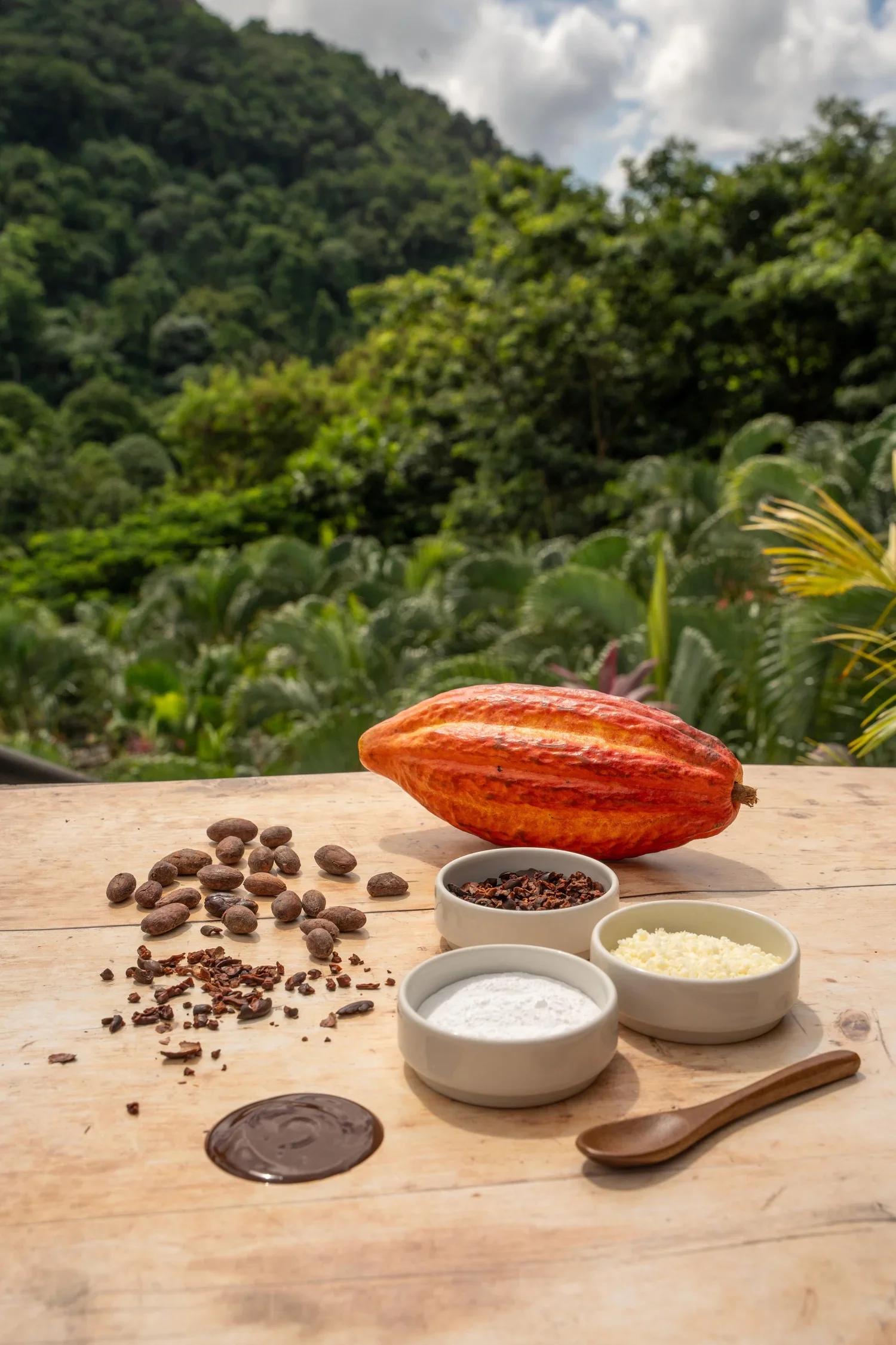 Sustainable Hotels | Saint Lucia | Eco travel | eco hotel | Slow travel | landscape hotel | nature hotel | nature destination | room and wild | Saint Lucia boutique Hotel | Rabot Hotel