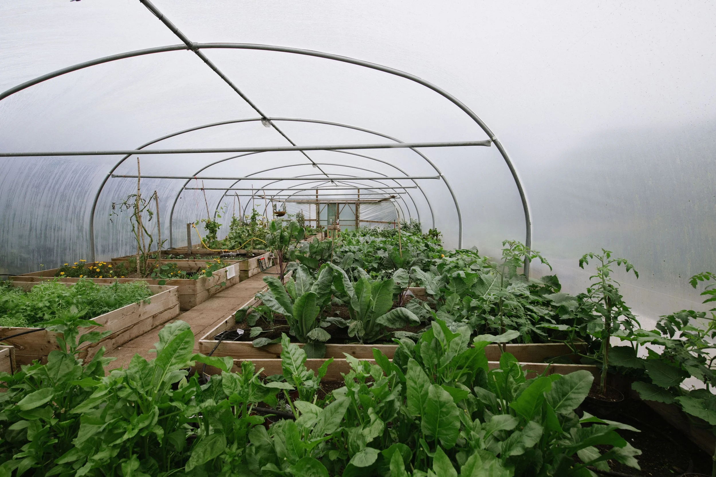 Farm Hotels | Agriculture Hotels | Agrotourism | farm to table | Farmhouse | Eco travel | eco hotel | Slow travel | landscape hotel | nature hotel | nature destination | room and wild | Ireland luxury Hotel | Finn Lough