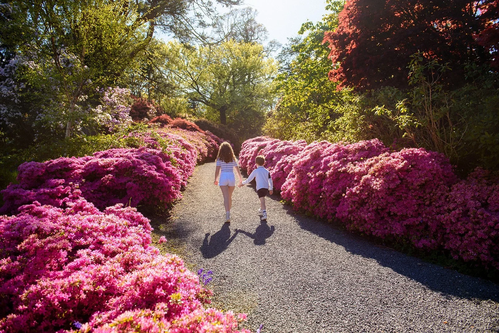 Botanical Hotels | Botanical Gardens | Wellness Travel | Garden Hotels | Eco travel | eco hotel | Slow travel | landscape hotel | nature hotel | nature destination | room and wild | Ireland luxury Hotel | Mount Congreve Gardens