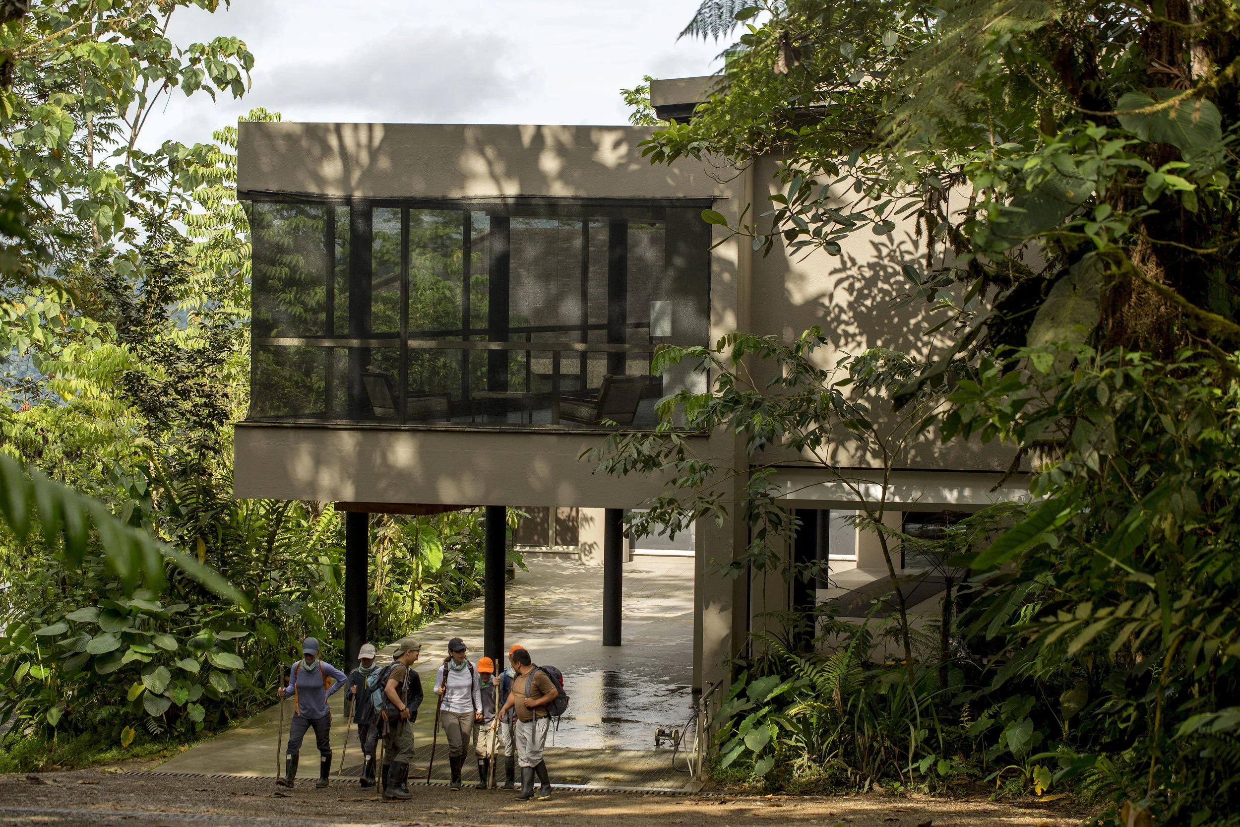 Experiential travel | Adventure hotel | adventure travel  | Eco travel | eco hotel | landscape hotel | nature hotel | nature destination | room and wild | Cloud Forest | Ecuador luxury hotel | Mashpi Lodge