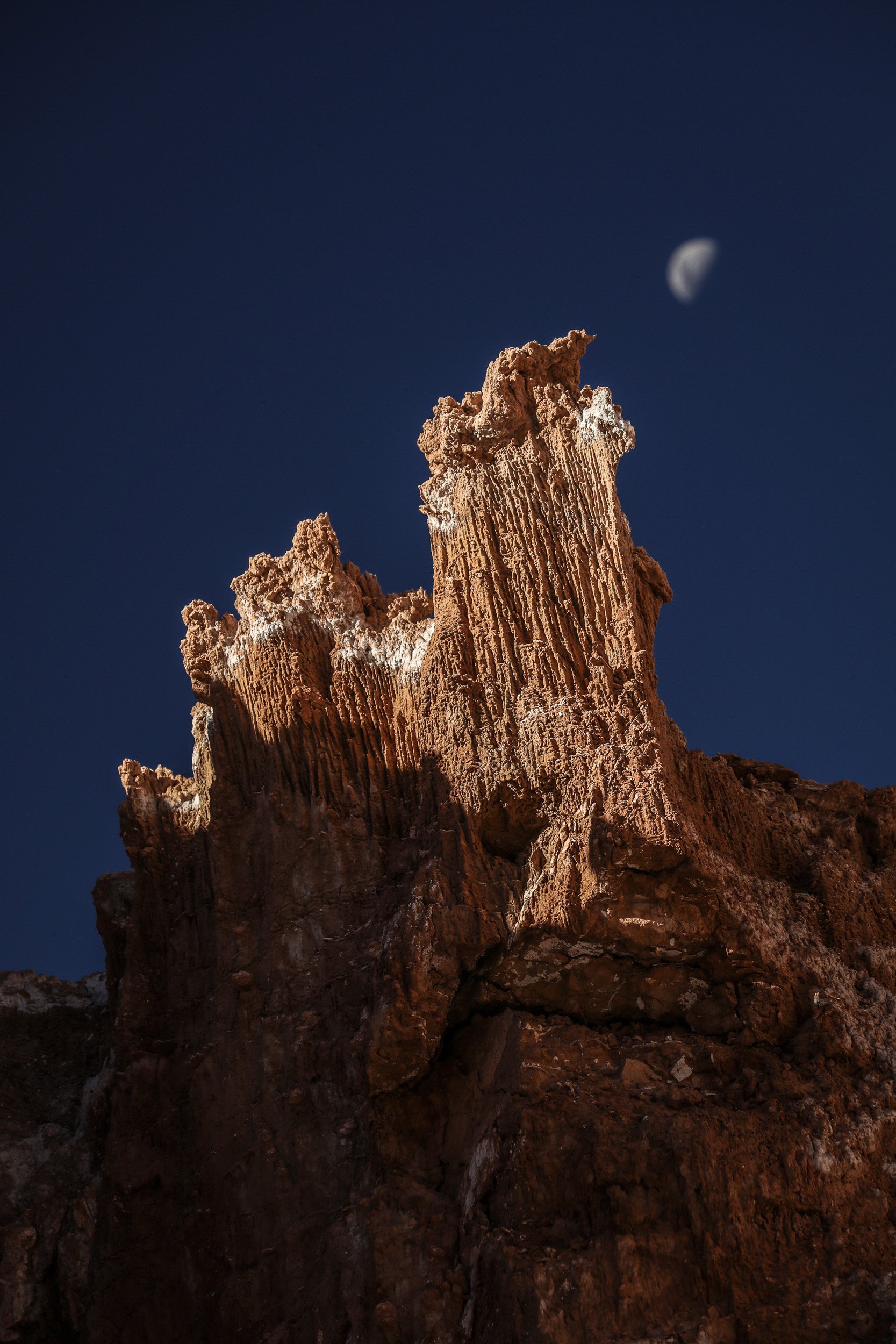 Adventure Travel | Wildlife Photography | landscape Photography | Slow travel | Eco travel | eco hotel  | landscape hotel | nature hotel | nature destination | room and wild | Chile luxury Hotel | Atacama Desert | Awasi Atacama