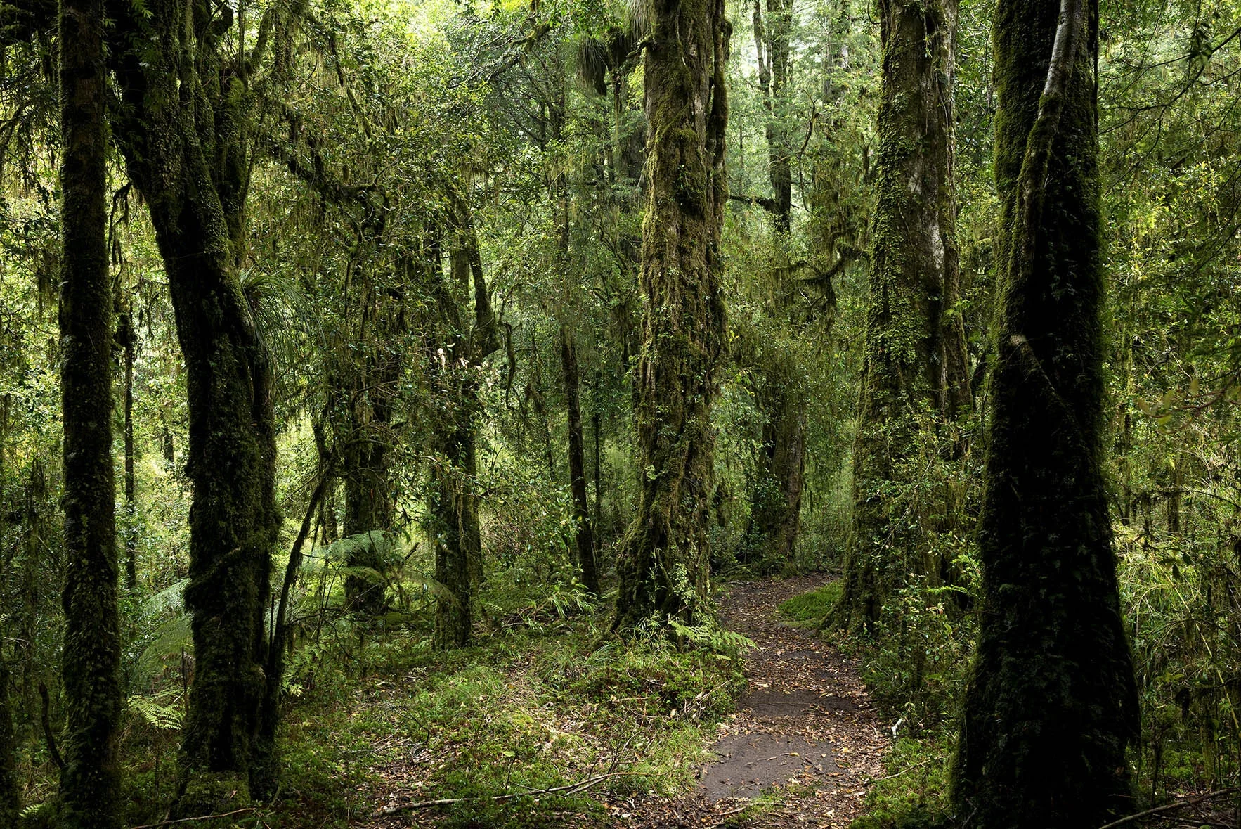 Eco travel | eco hotel | adventure hotel | | landscape hotel | nature hotel | nature destination | room and wild | luxury hotel Patagonia | Fly Fishing | Futangue Hotel and Spa