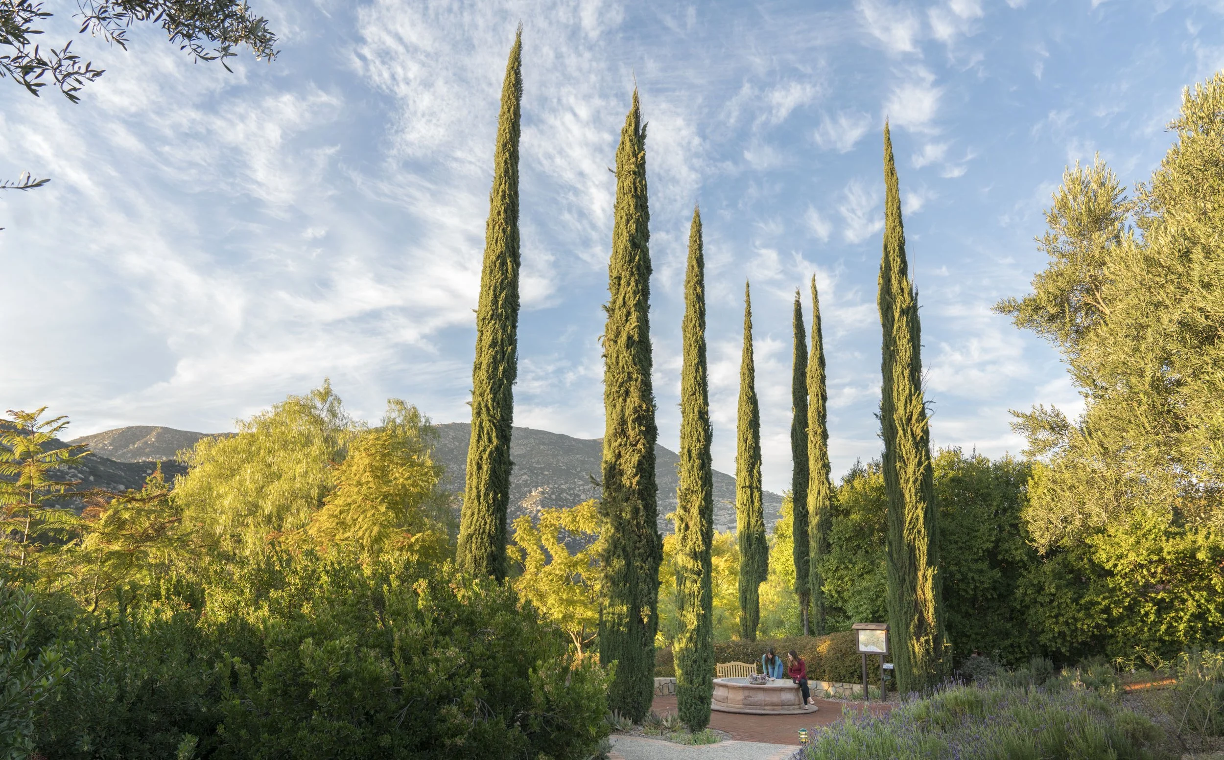 Wellness Hotels | Botanical Hotels | Botanical Gardens | Wellness Travel | Garden Hotels | Eco travel | eco hotel | Slow travel | landscape hotel | nature hotel | nature destination | room and wild | Mexico luxury Hotel | Rancho La Puerta