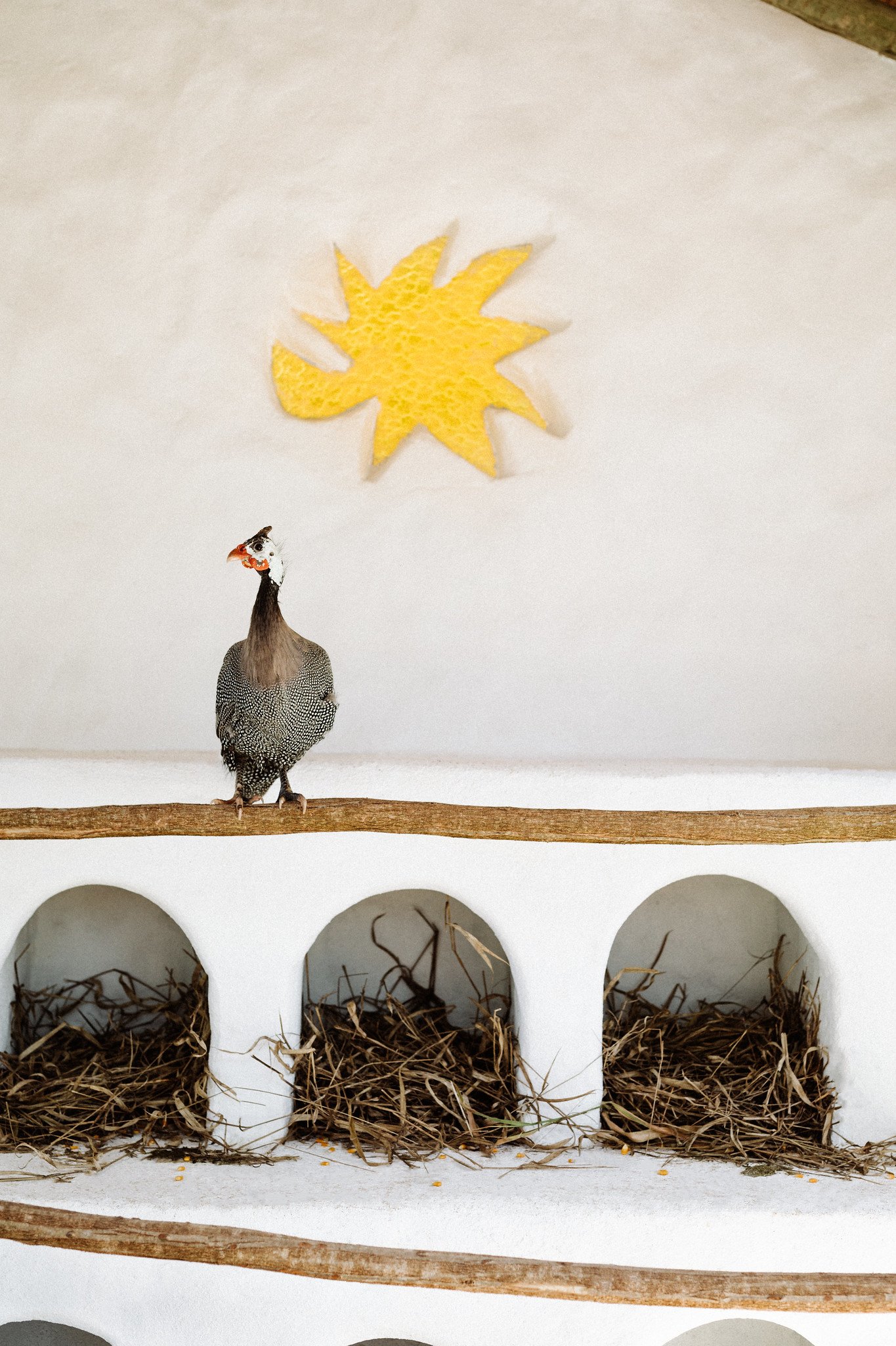 Farm Hotels | Agriculture Hotels | Agrotourism | Farmhouse | Eco travel | eco hotel | Slow travel | landscape hotel | nature hotel | nature destination | room and wild | brazil luxury Hotel | Trancoso |  Uxua Casa hotel and Spa