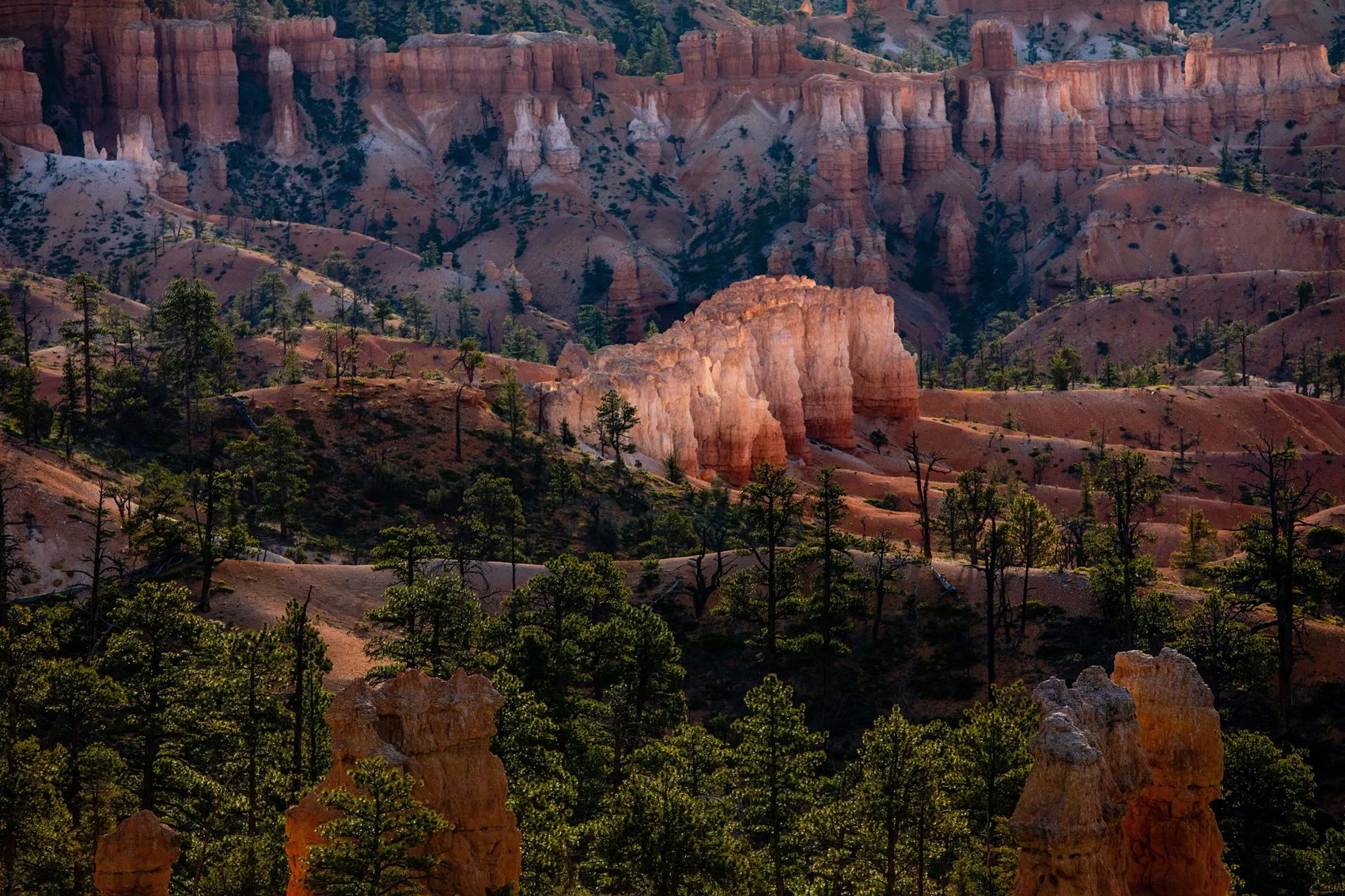 Utah travel guide | Utah Forever | Places to visit in utah | Glamping | Stargazing | Utah Hotels | Eco travel | eco hotel | landscape hotel | nature hotel | nature destination | room and wild | Bryce Canyon