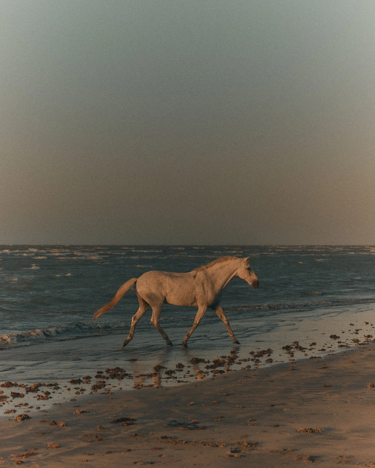 Adventure Travel | Horseback riding | equestrian travel | Slow travel | Eco travel | eco hotel  | landscape hotel | nature hotel | nature destination | room and wild | brazil luxury Hotel | Ceara | Fazenda Moreias