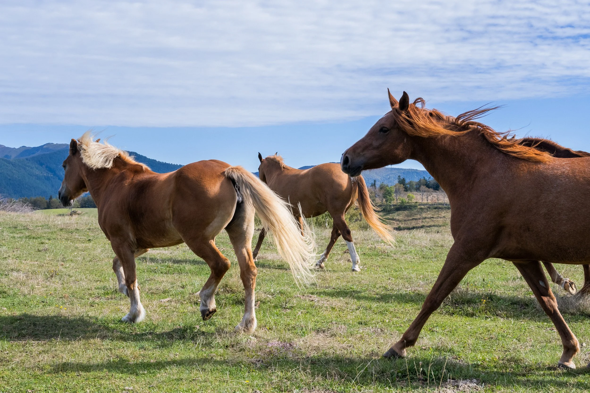 Adventure Travel | Horseback riding | equestrian travel | Slow travel | Eco travel | eco hotel  | landscape hotel | nature hotel | nature destination | room and wild | italy luxury Hotel | Tuscany | Oasyhotel