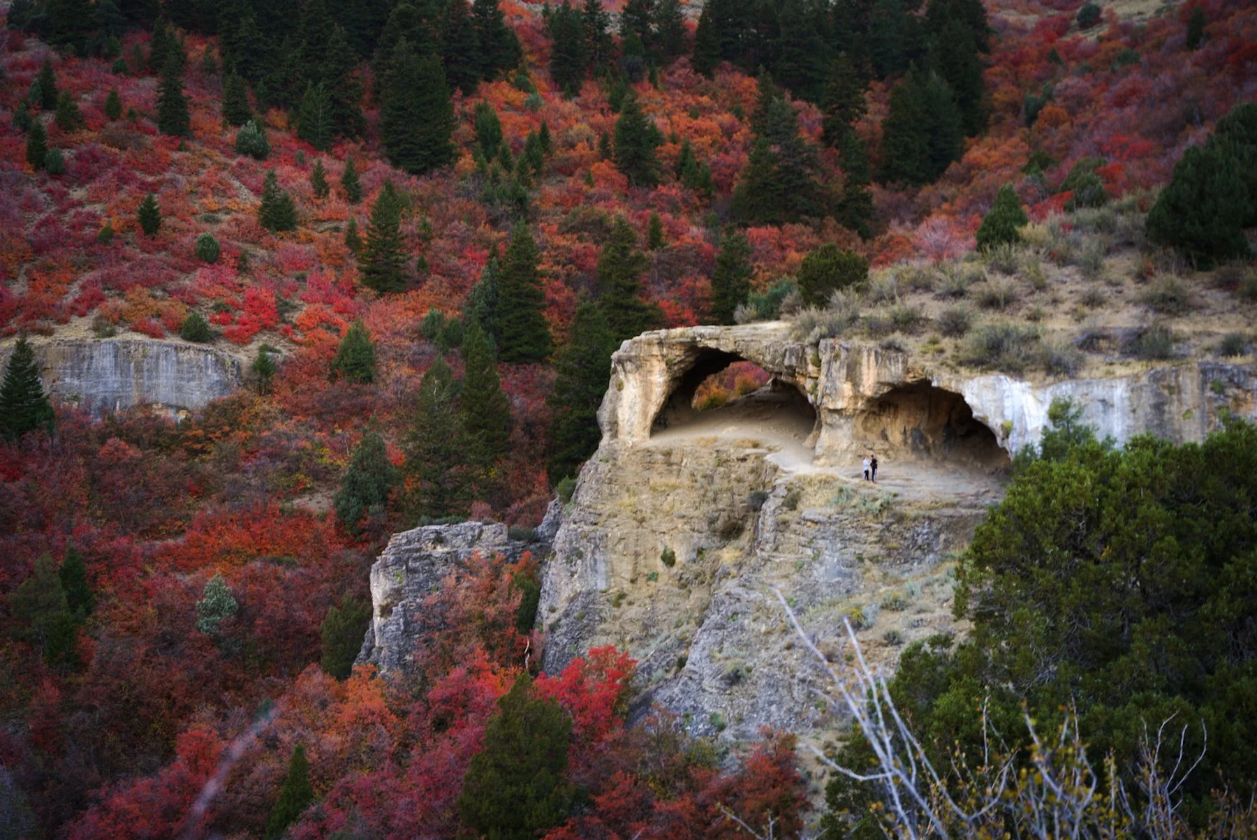 Utah travel guide | Utah Forever | Places to visit in utah | Glamping | Stargazing | Utah Hotels | Eco travel | eco hotel | landscape hotel | nature hotel | nature destination | room and wild | Logan Canyon