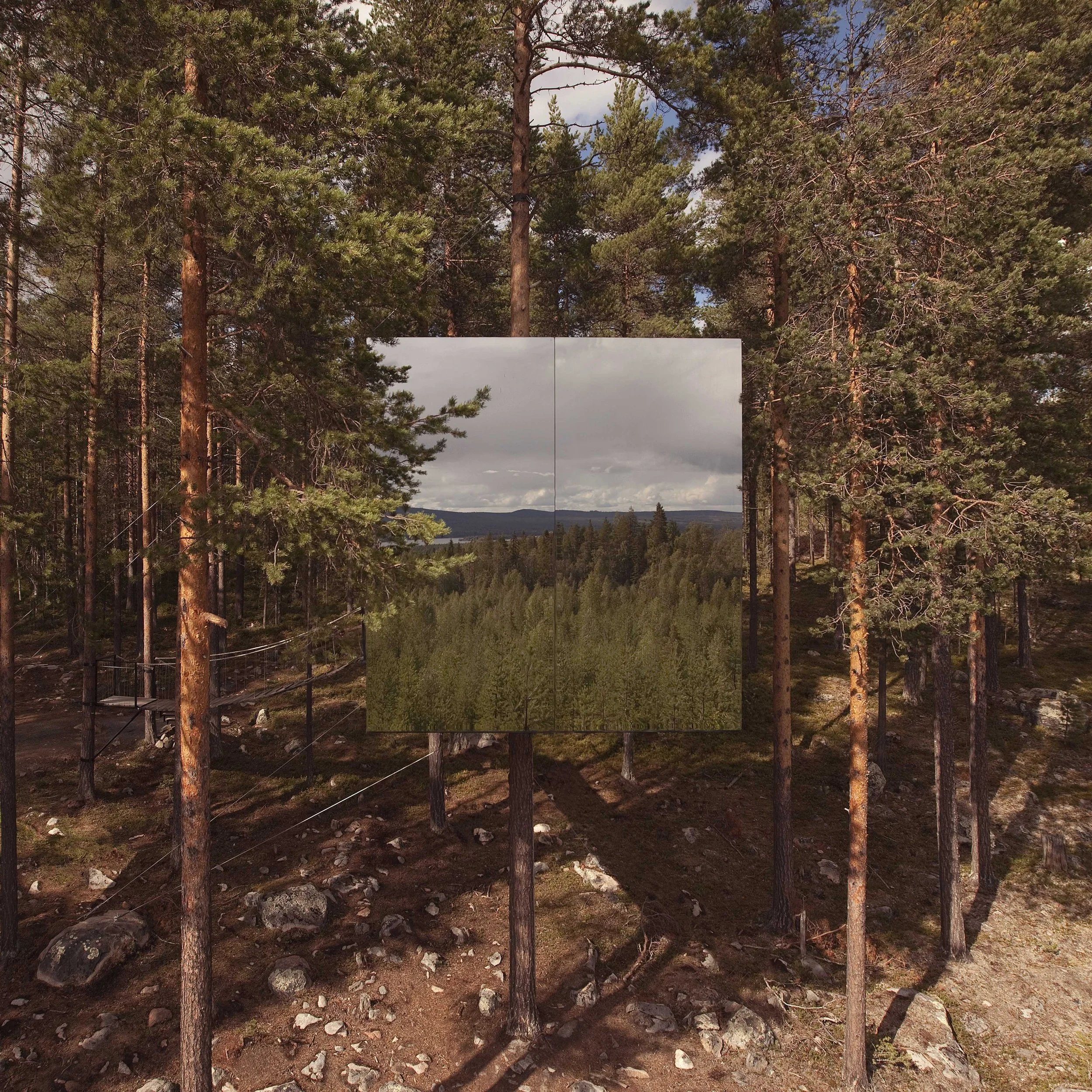 treehotel1.jpg