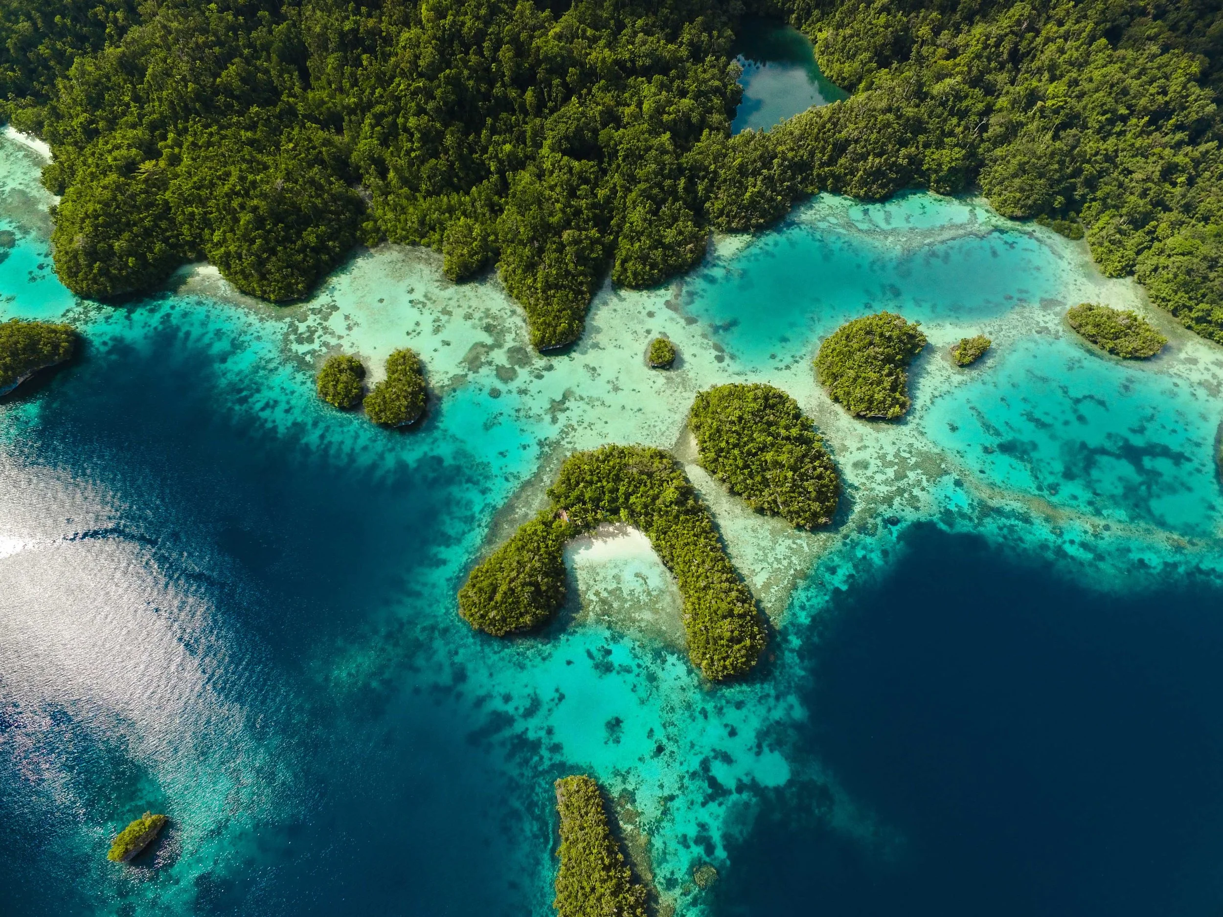 wellness travel | self care | spa hotel | mindfulness | Eco travel | eco hotel | landscape hotel | nature hotel | nature destination | room and wild | Raja Ampat, Indonesia