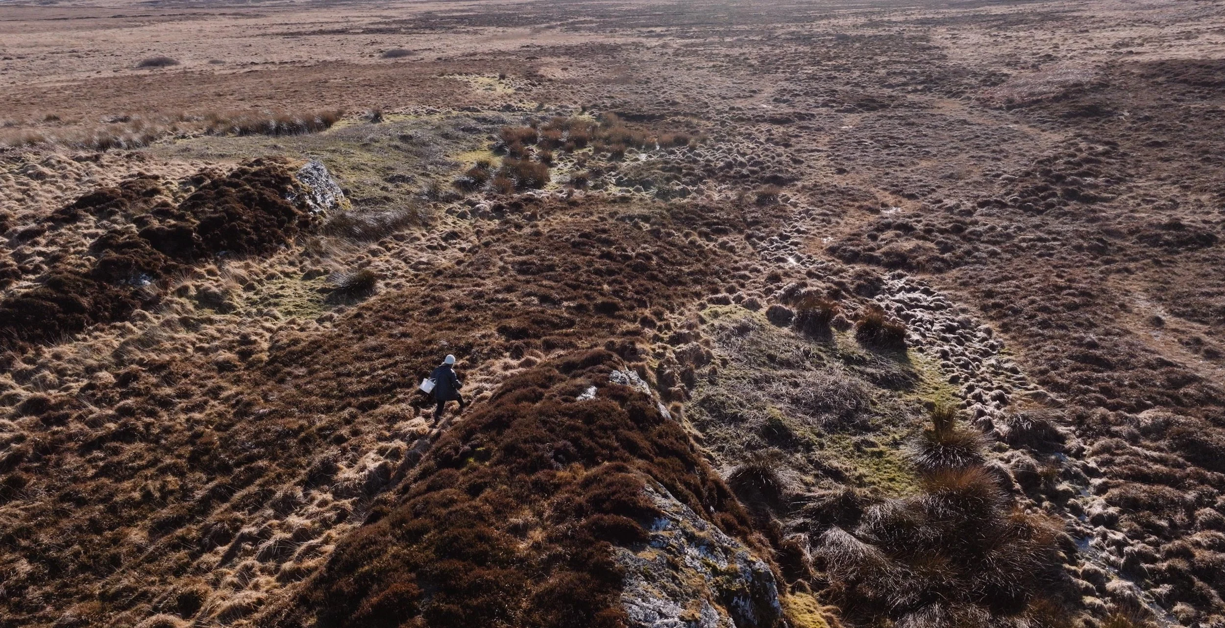 Sustainable Brand | Nature Destination | Experiential travel | Travel Guide | Gin Tasting | Foraging | Sustainable Business |  Islay Scotland | Travel Scotland | Botanist Gin | Bruichladdich Distillery | Room and Wild | Kate Hannett