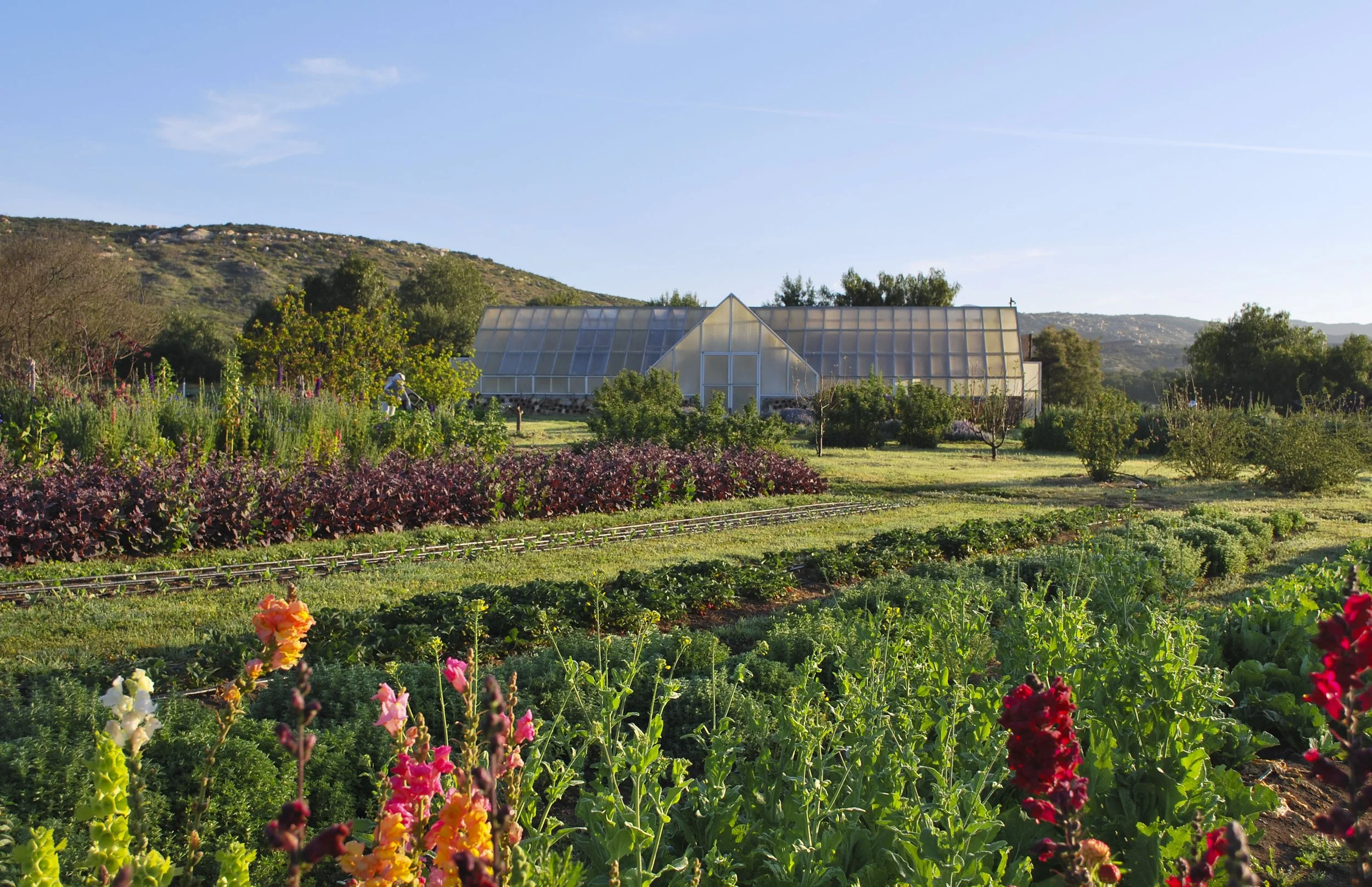 Agritourism | Agricultural hotels | farm to table | Landscape hotels | nature hotels | eco hotels  | sustainable hotels | mexico hotels | wellness hotels |  | rancho la puerta