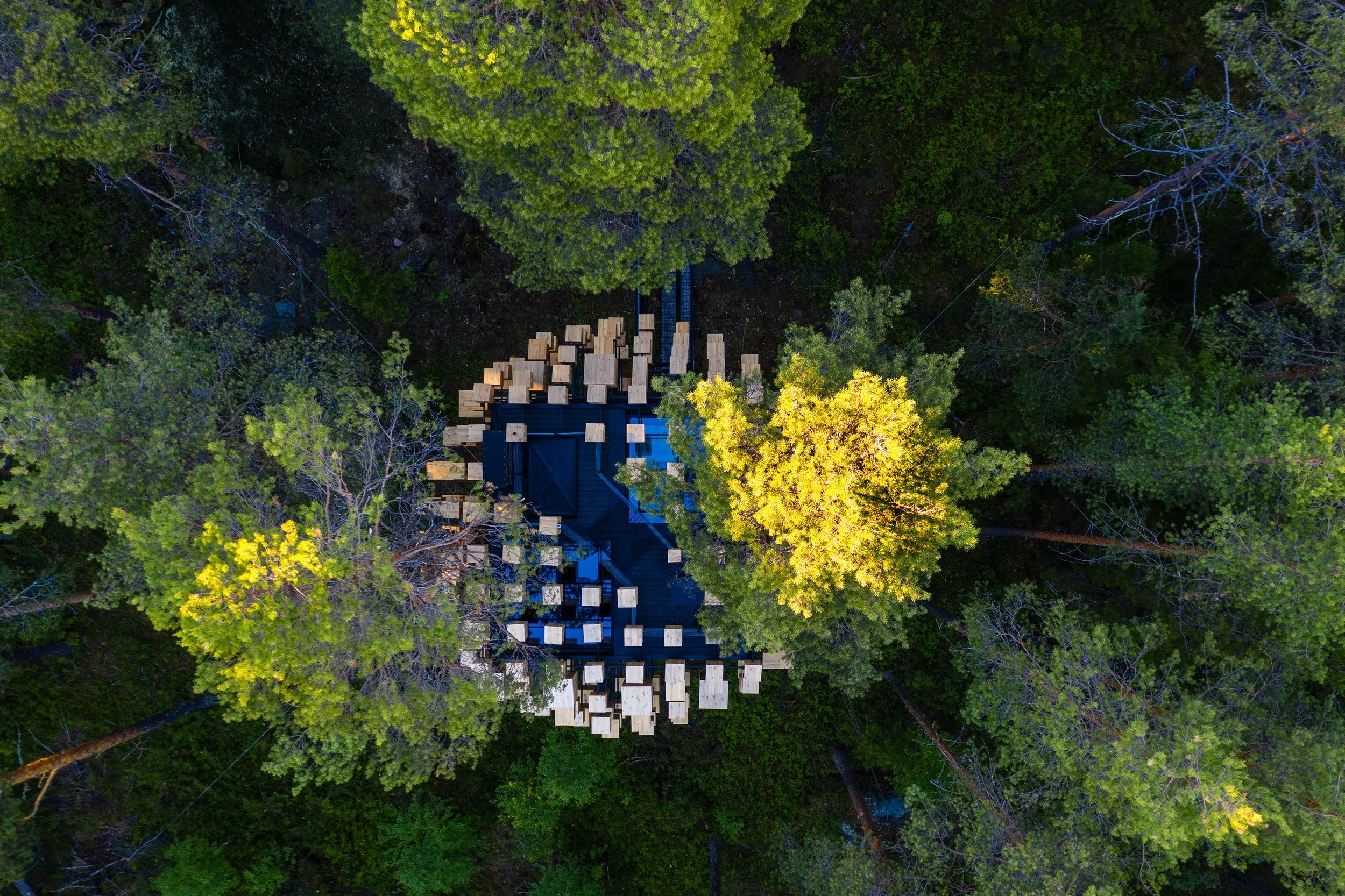 Treehouse Hotels | Sweden Hotels | Eco travel | eco hotel | Slow travel | landscape hotel | nature hotel | nature destination | room and wild | sweden boutique Hotel | harads | Treehotel