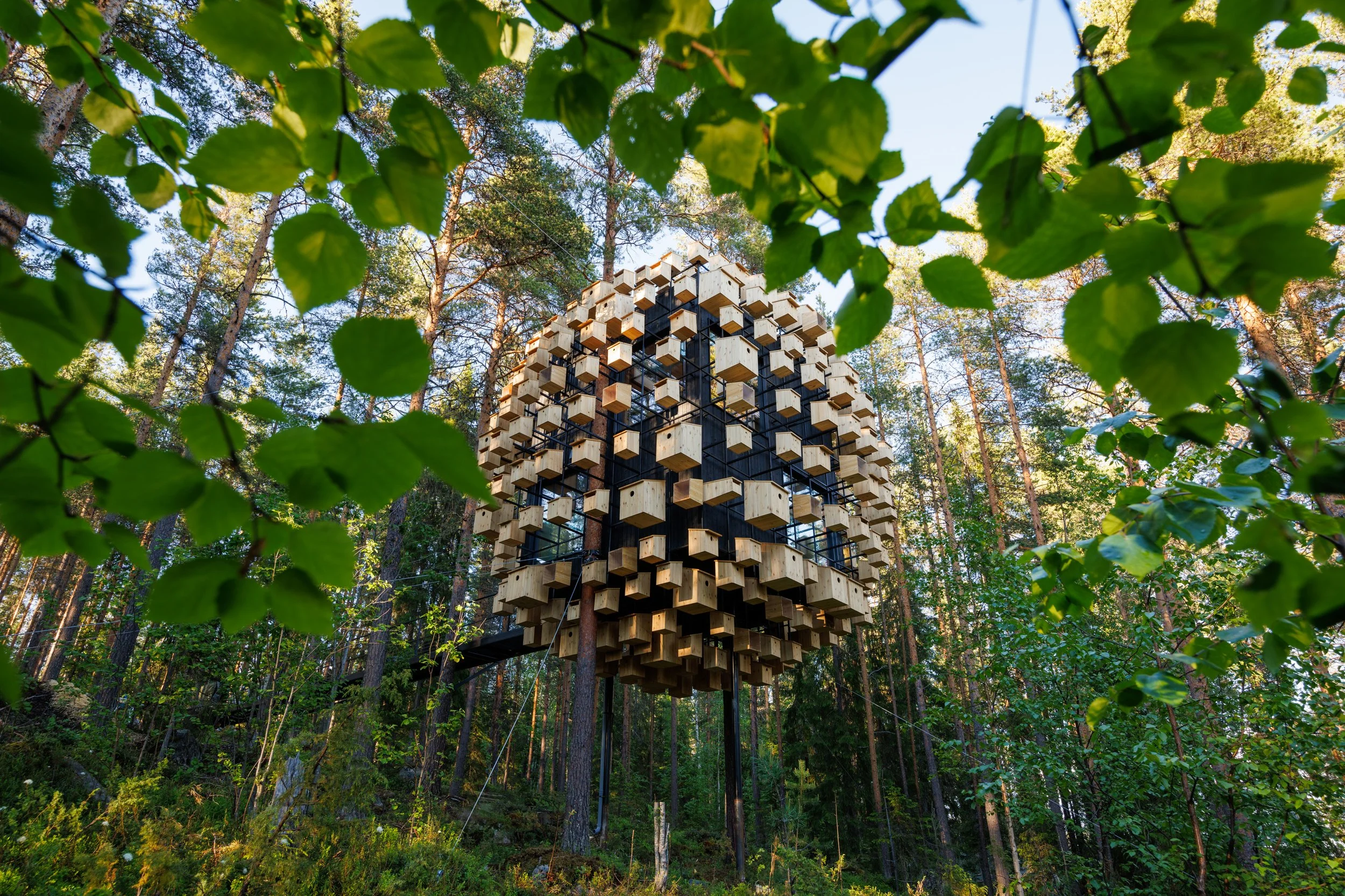 landscape architecture | Nature-inspired architecture | organic architecture | Eco travel | eco hotel | landscape hotel | nature hotel | nature destination | room and wild | treehouse sweden | Treehotel