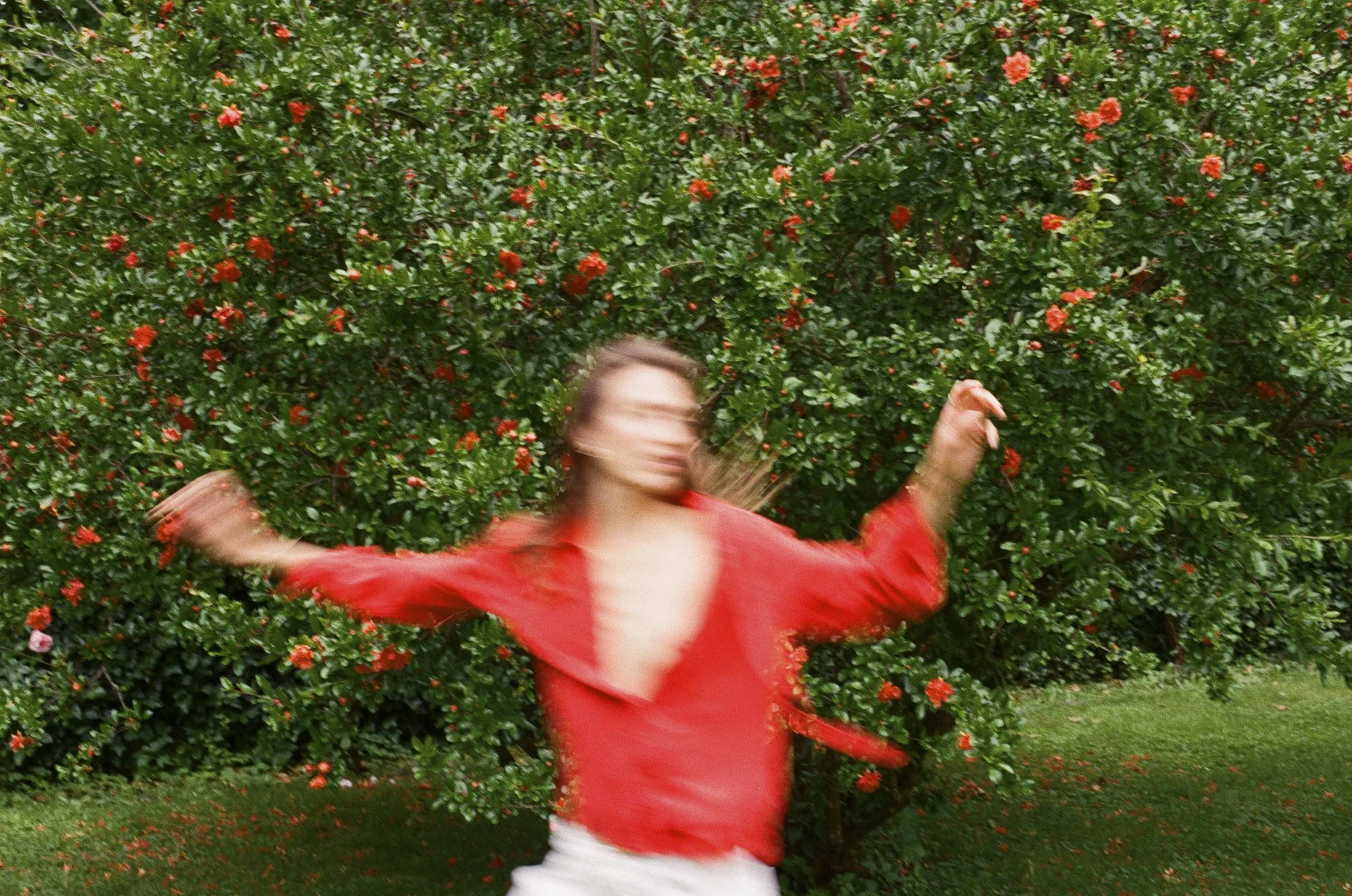 Italy Hotel | South Tyrol hotel | Slow Living | Europe hotel | Eco travel | eco hotel | landscape hotel | nature hotel | nature destination | room and wild | Villa Arnica