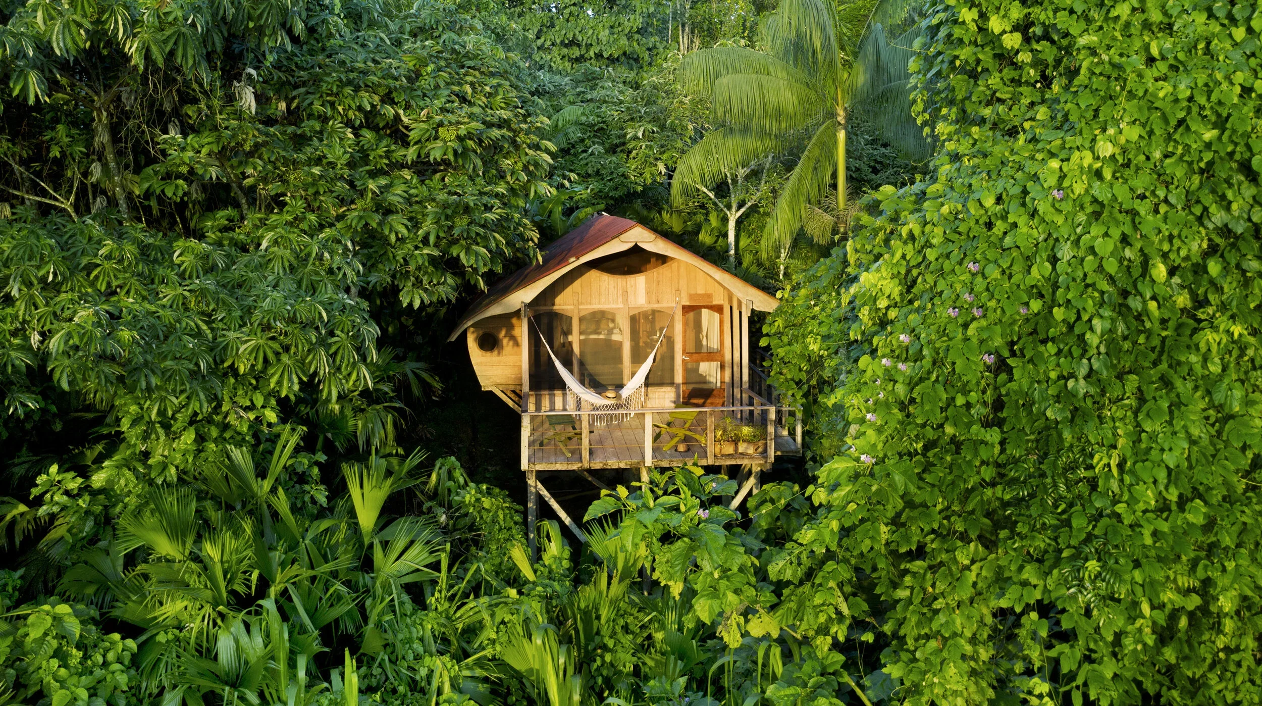Colombia Hotels | adventure travel | Eco travel | eco hotel |  landscape hotel | nature hotel | nature destination | room and wild | The Amazon | Calanoa Jungle Lodge