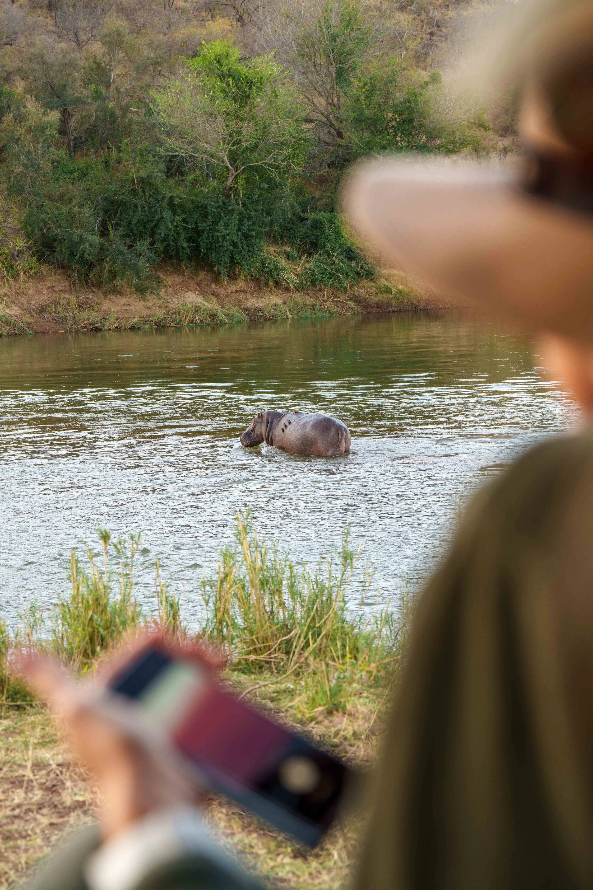 Adventure Travel | Wildlife Photography | landscape Photography | Slow travel | Eco travel | eco hotel  | landscape hotel | nature hotel | nature destination | room and wild | South Africa luxury Hotel | Kruger | Sashwa River of Stars