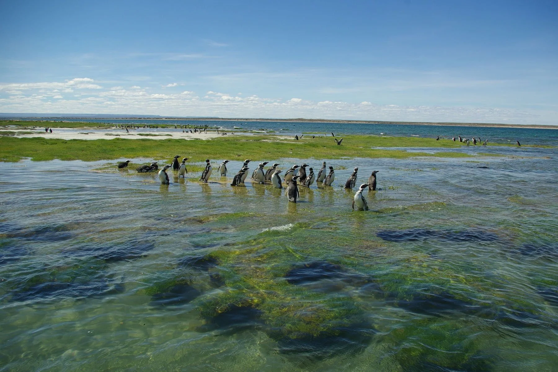 Adventure Travel | Wildlife Photography | landscape Photography | Slow travel | Eco travel | eco hotel  | landscape hotel | nature hotel | nature destination | room and wild | Argentina luxury Hotel | Patagonia | Bahia Bustamente Lodge