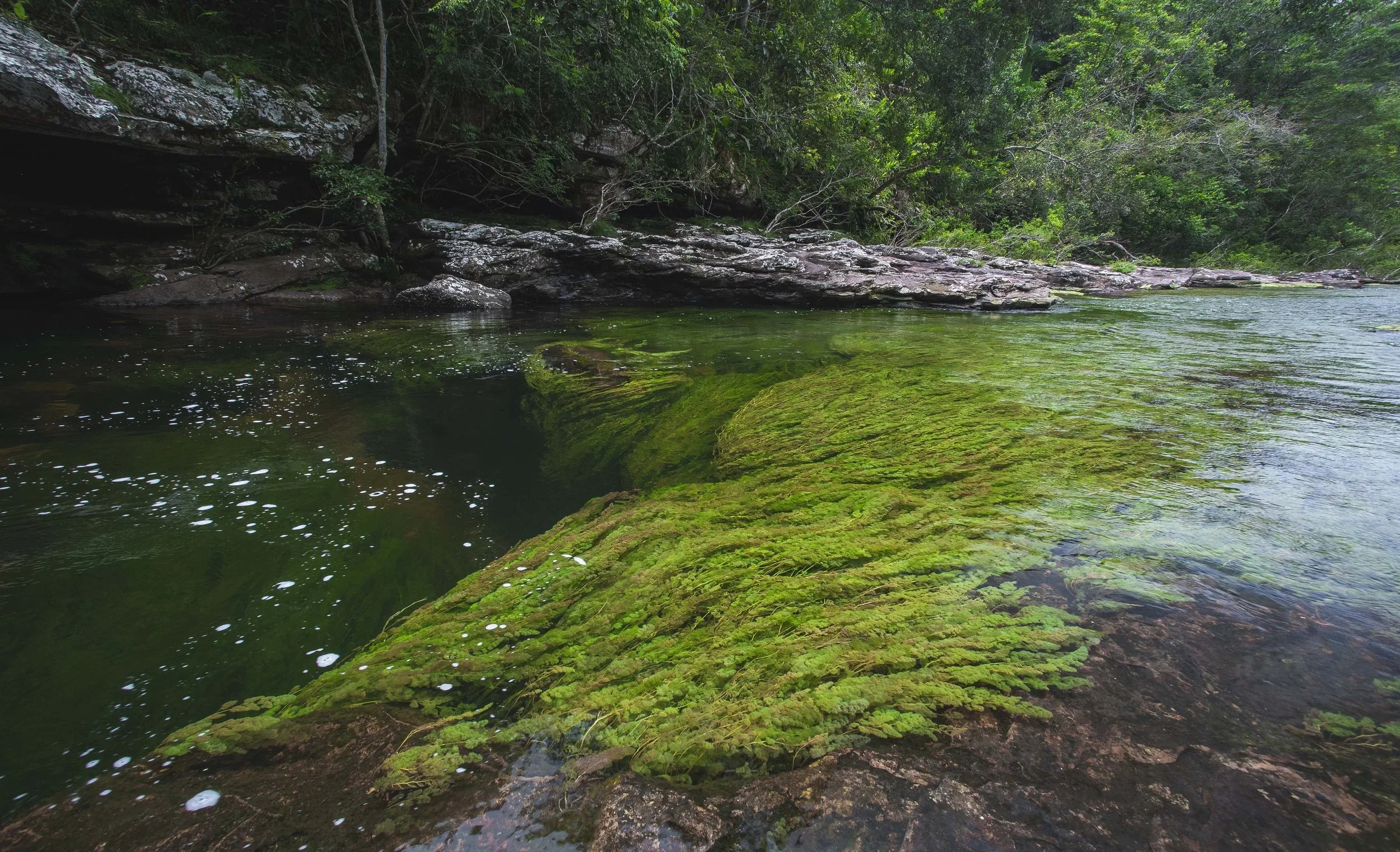 Eco travel | eco hotel | Caño Cristales | adventure hotel | landscape hotel | nature hotel | nature destination | room and wild | Colombia Hotel |  La Manigua Lodge