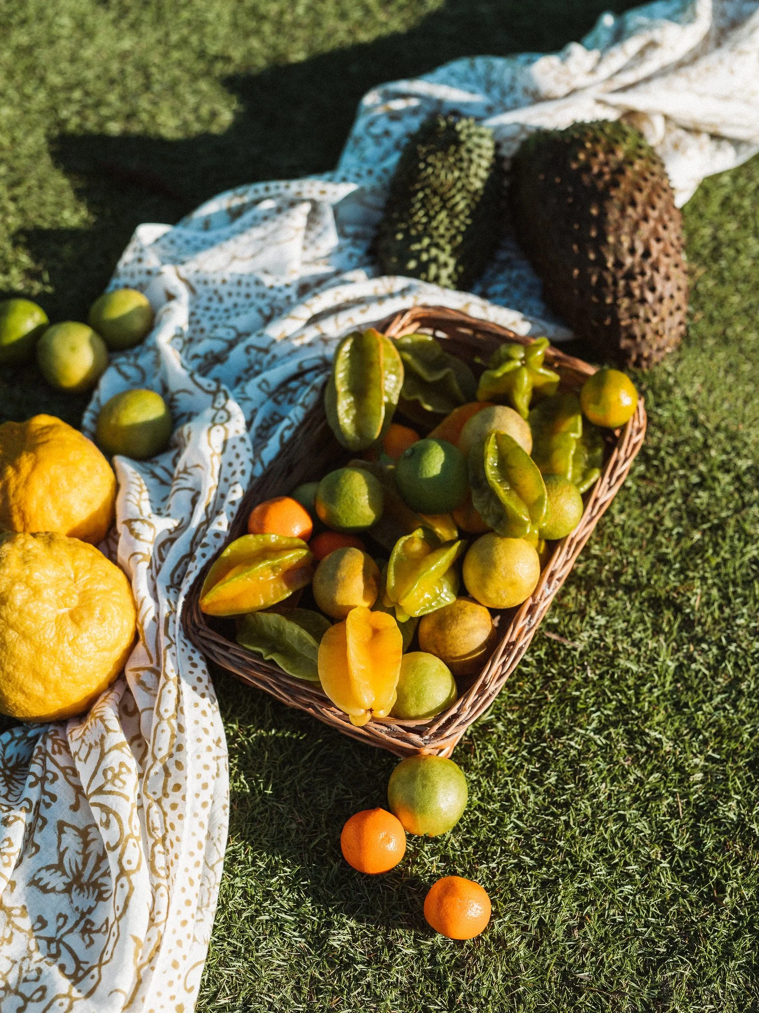 Farm Hotels | Agriculture Hotels | Agrotourism | Farmhouse | Eco travel | eco hotel | Slow travel | landscape hotel | nature hotel | nature destination | room and wild | brazil luxury Hotel | Trancoso |  Uxua Casa hotel and Spa