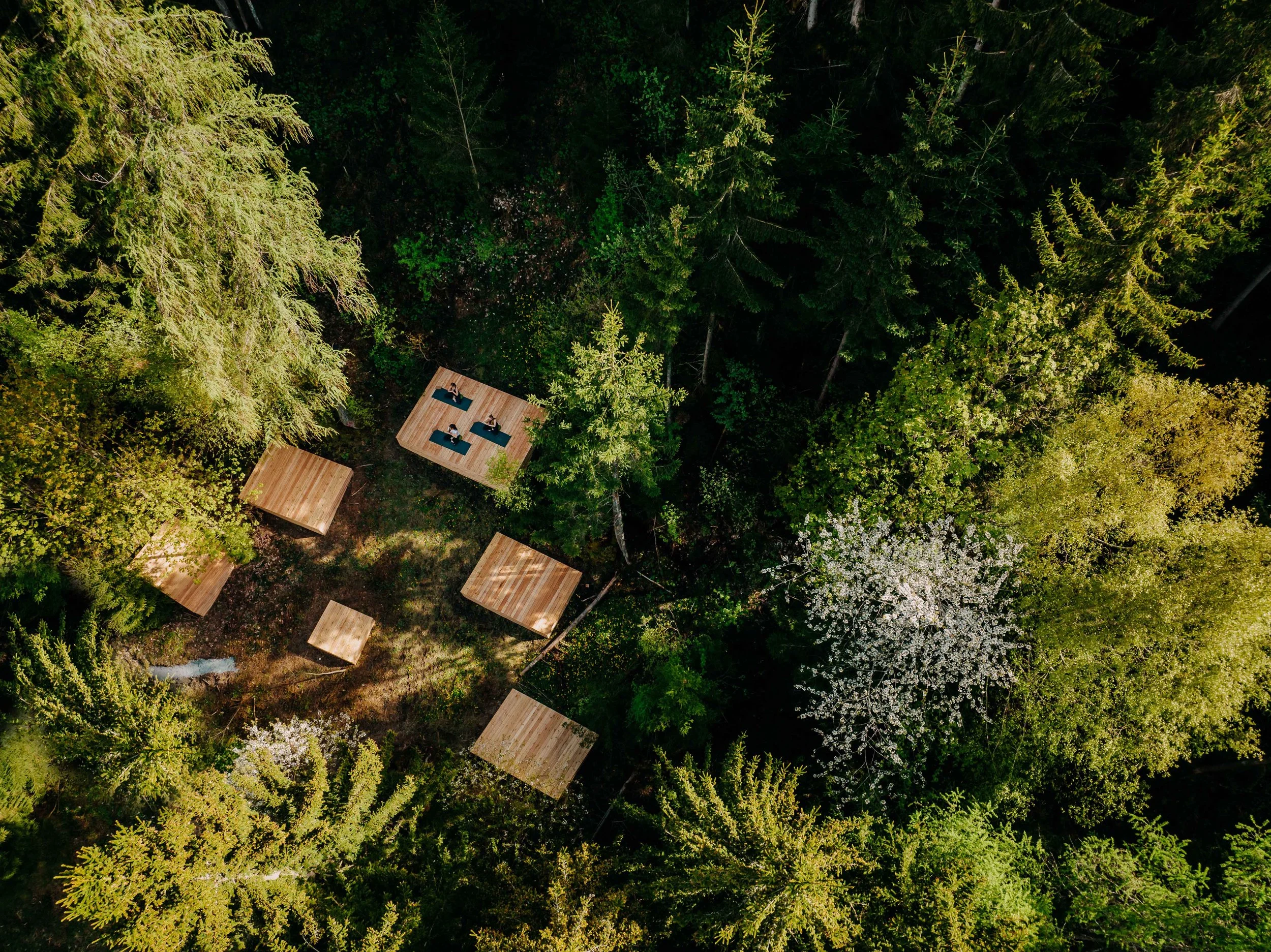 Wellness Travel | Active Travellers | Movement | Yoga Hotel | Eco travel | eco hotel | landscape hotel | nature hotel | nature destination | room and wild | Austria luxury Hotel  | Naturhotel Forsthofgut