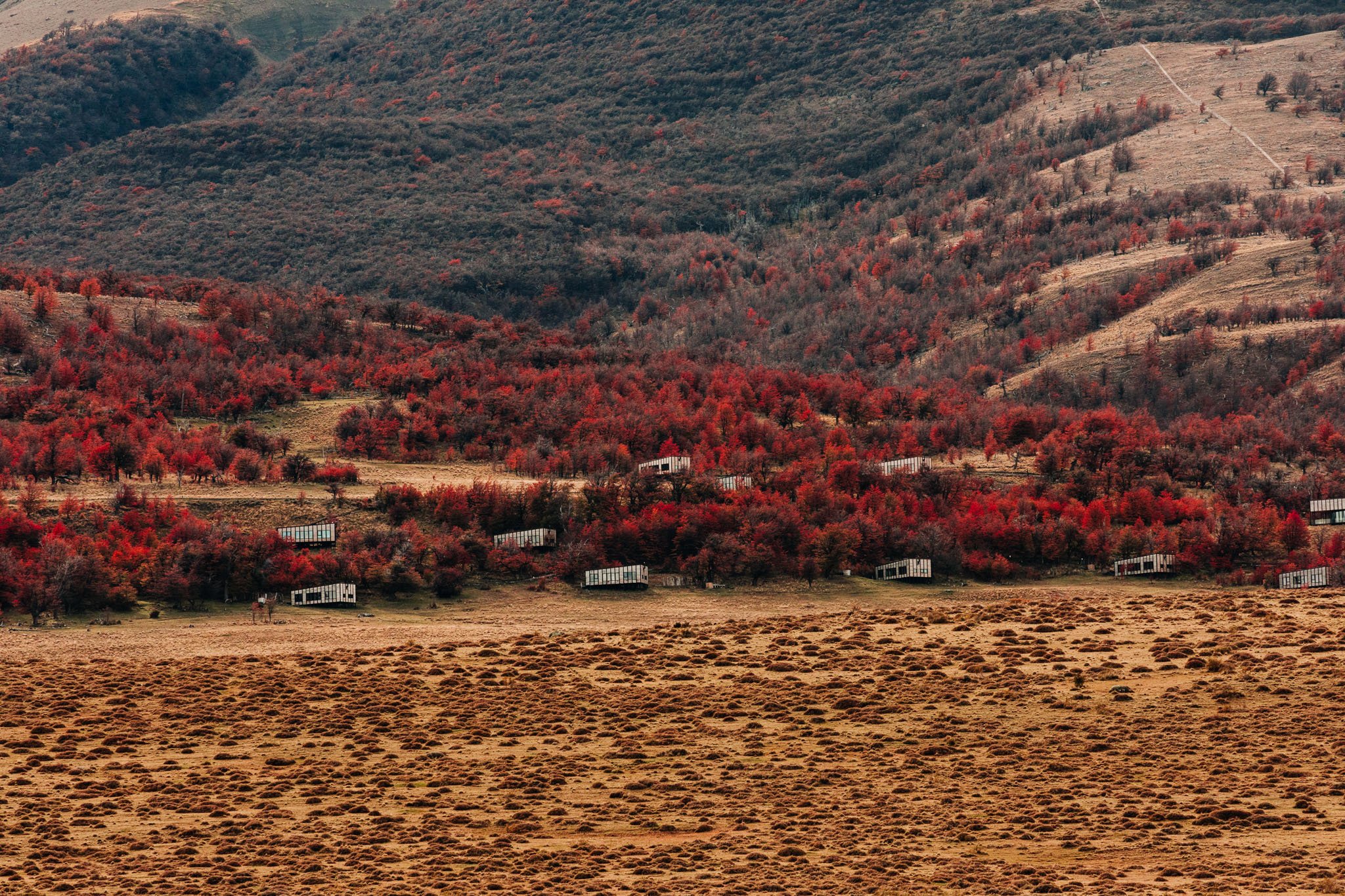 Fall Foliage | Chile hotel | Eco travel | eco hotel | Slow travel | landscape hotel | nature hotel | nature destination | room and wild | Patagonia Hotels | Awasi Patagonia