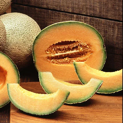 Cantaloupe