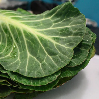 Collard Greens