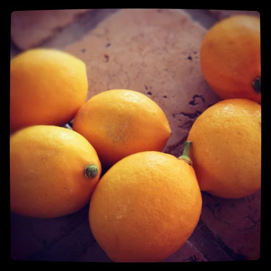 Lemon