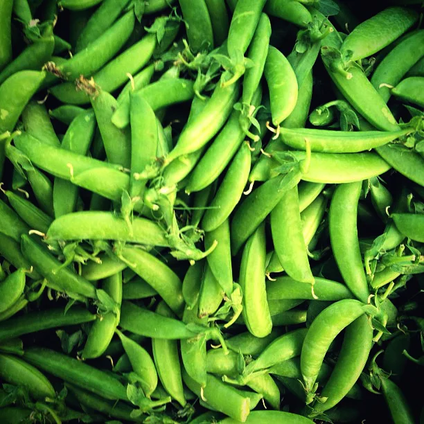 Snap Pea