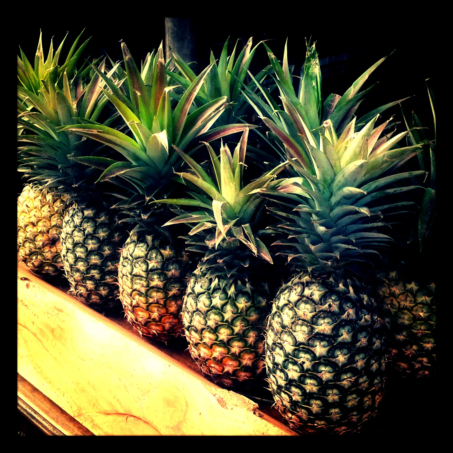 Pineapple