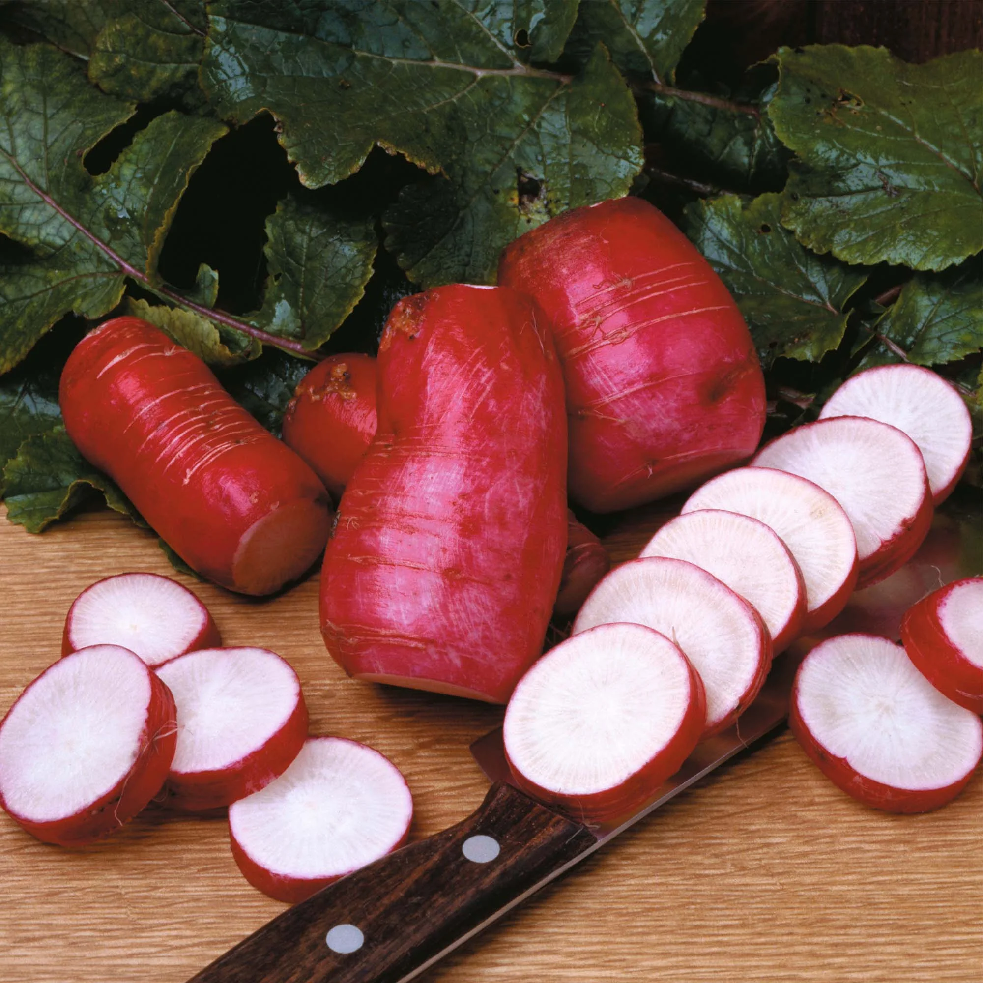 Radish