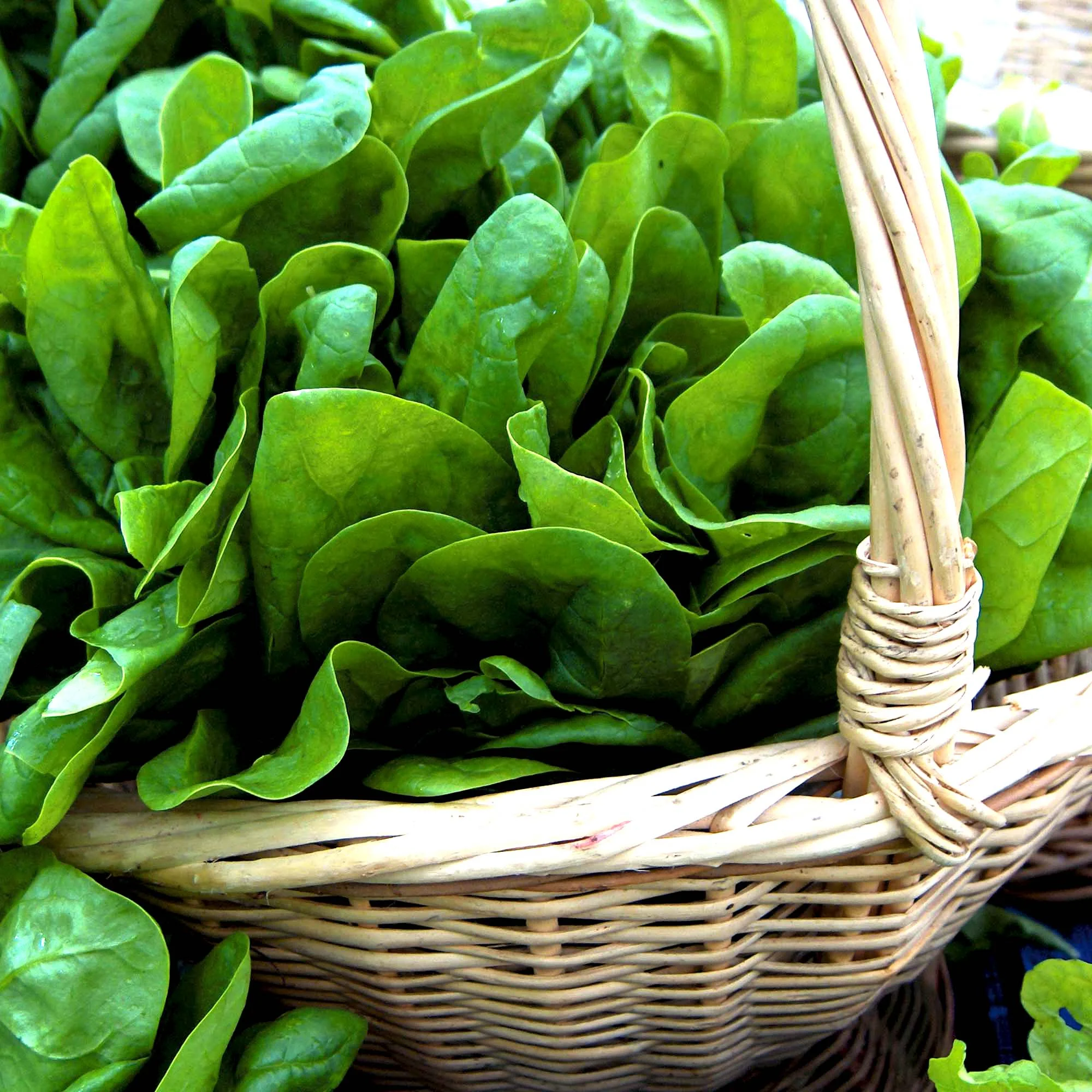 Spinach