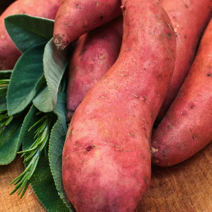 Yam