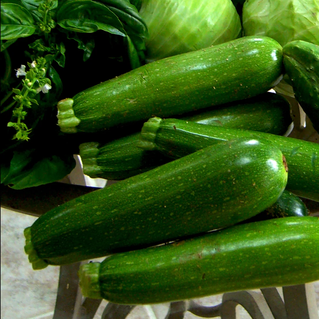 Zucchini