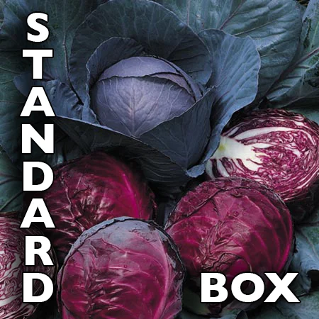 Standard_Box.jpg