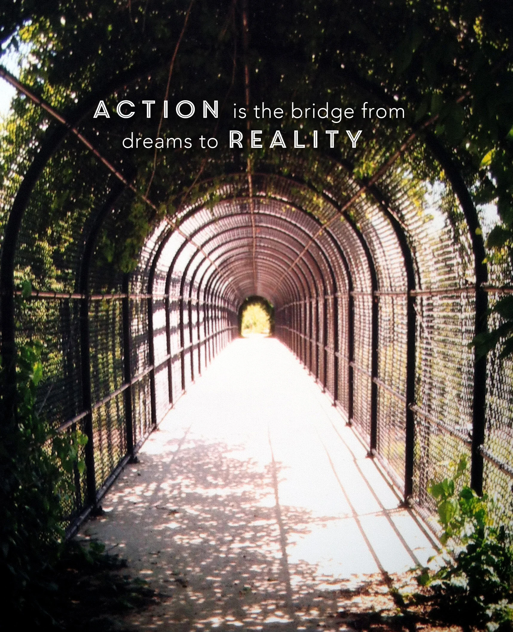 ActionBridge.jpg