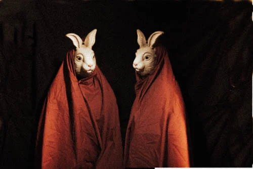 2bunny.jpg