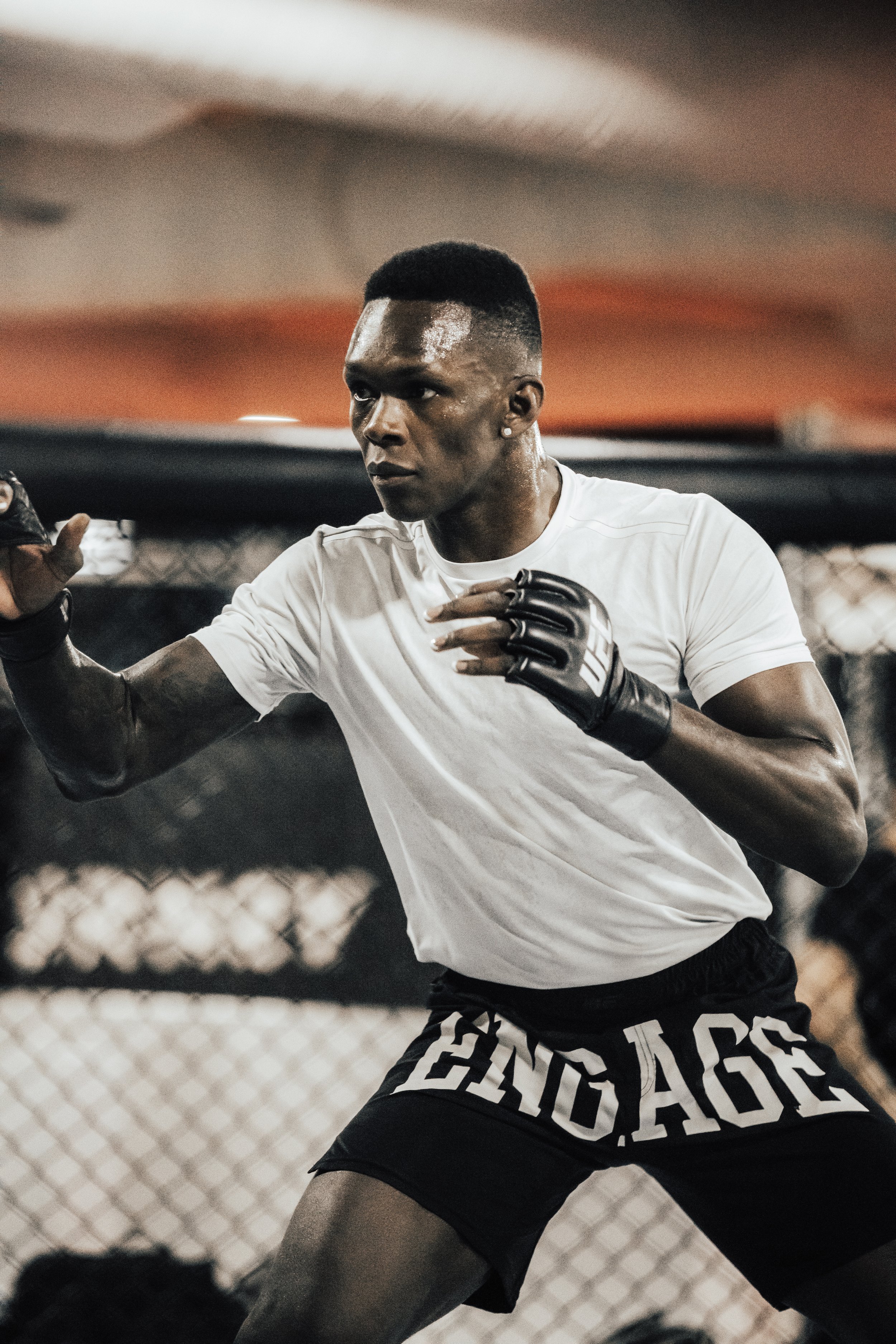 STYLEBENDER-1.jpg