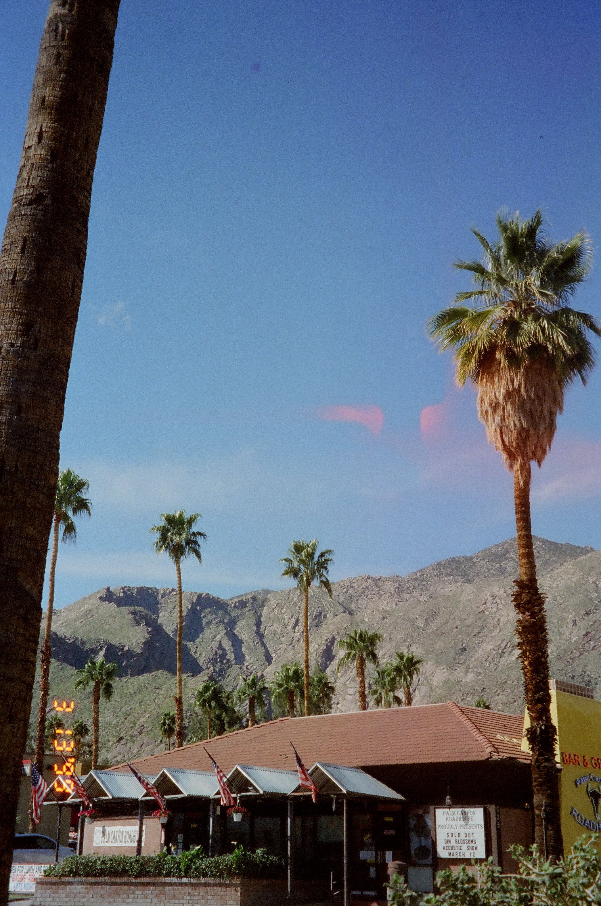 CINEMA-PALMSPRINGS9.JPG