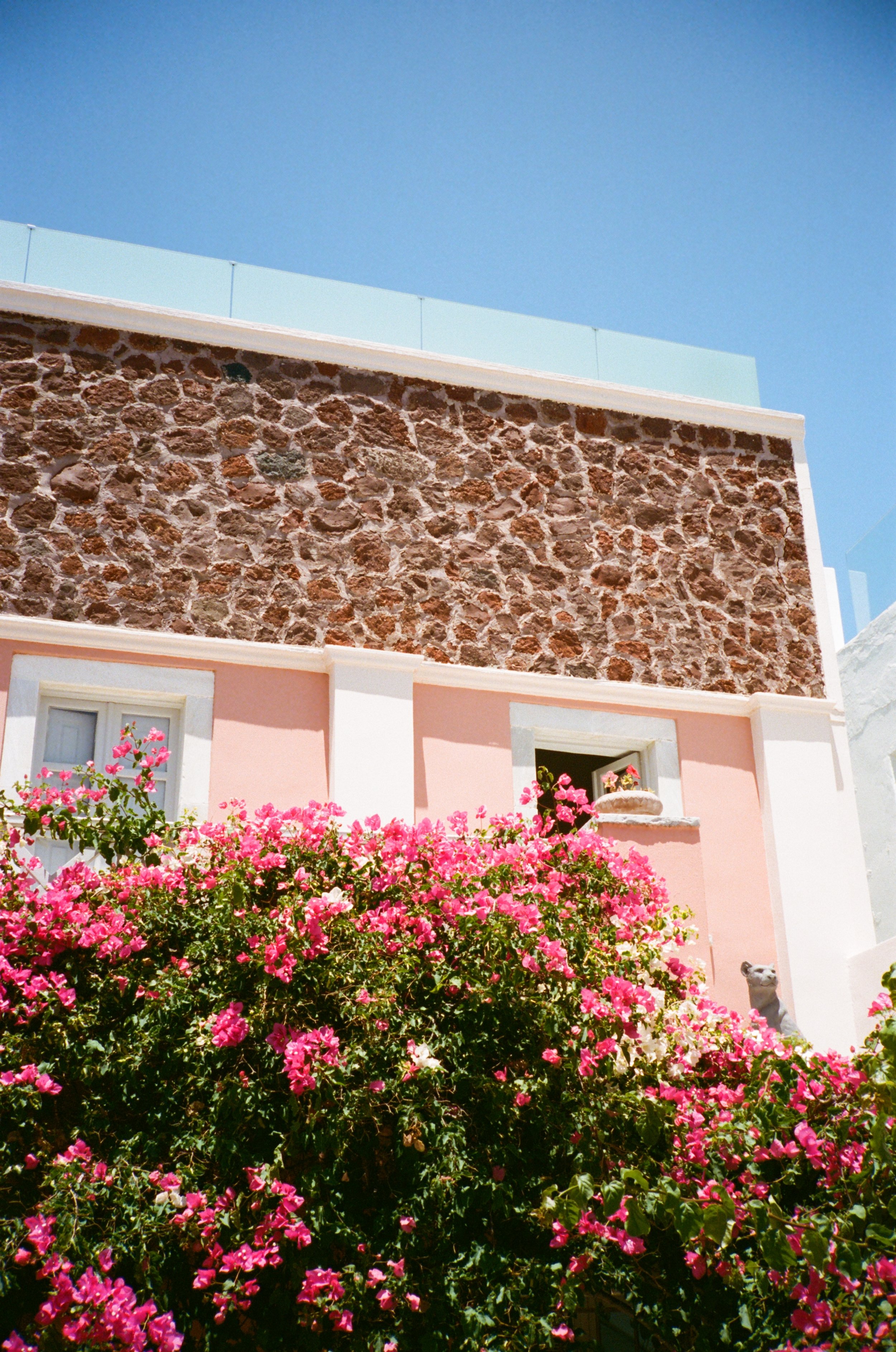 Santorini-Portra400-21.jpg